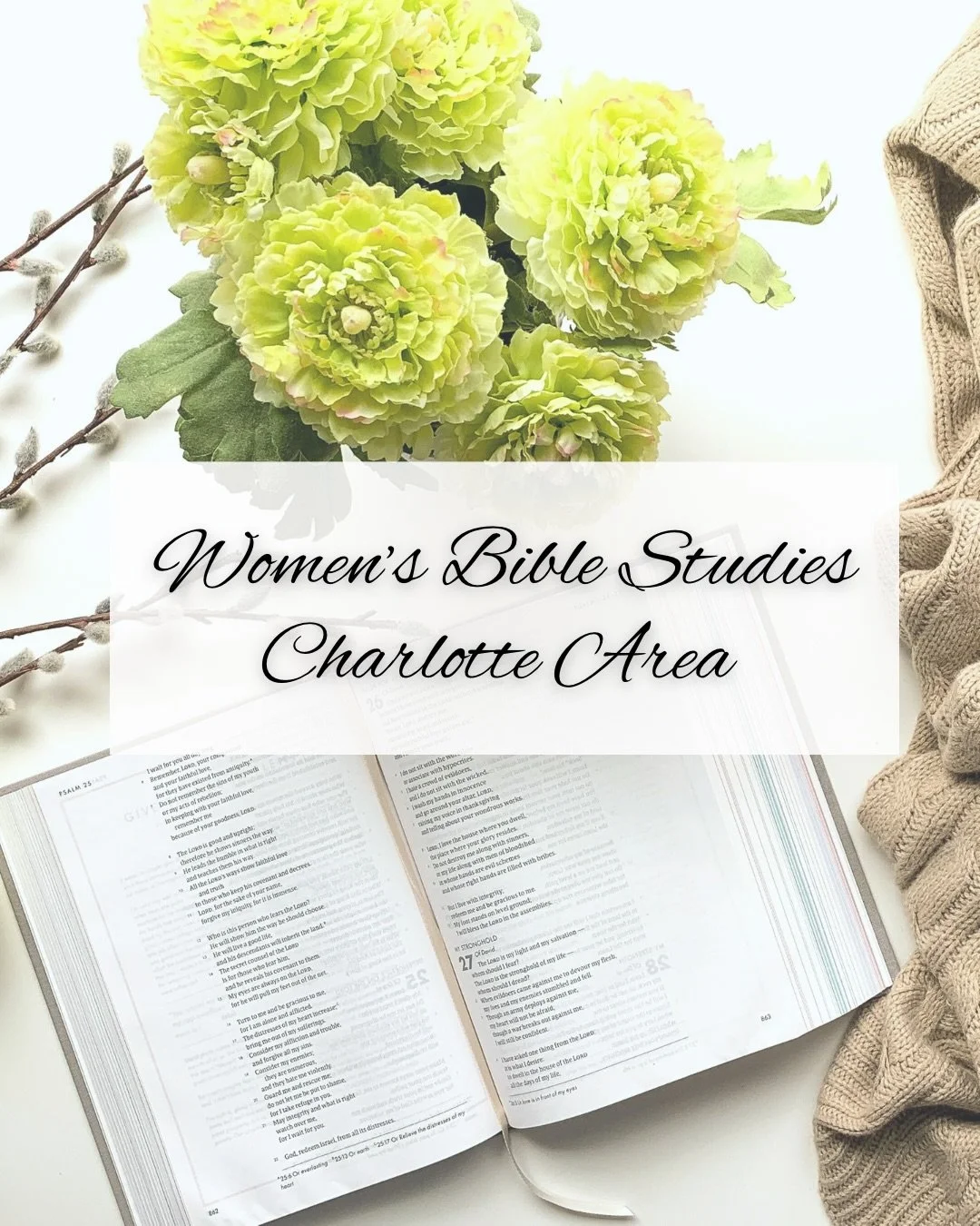 ✝️ Women&rsquo;s Bible Studies in Charlotte, NC and surrounding areas

Thank you for the great response and suggestions when I asked for your recommendations on Women&rsquo;s Bible Studies that are open to all women in our area. It seems there are lo