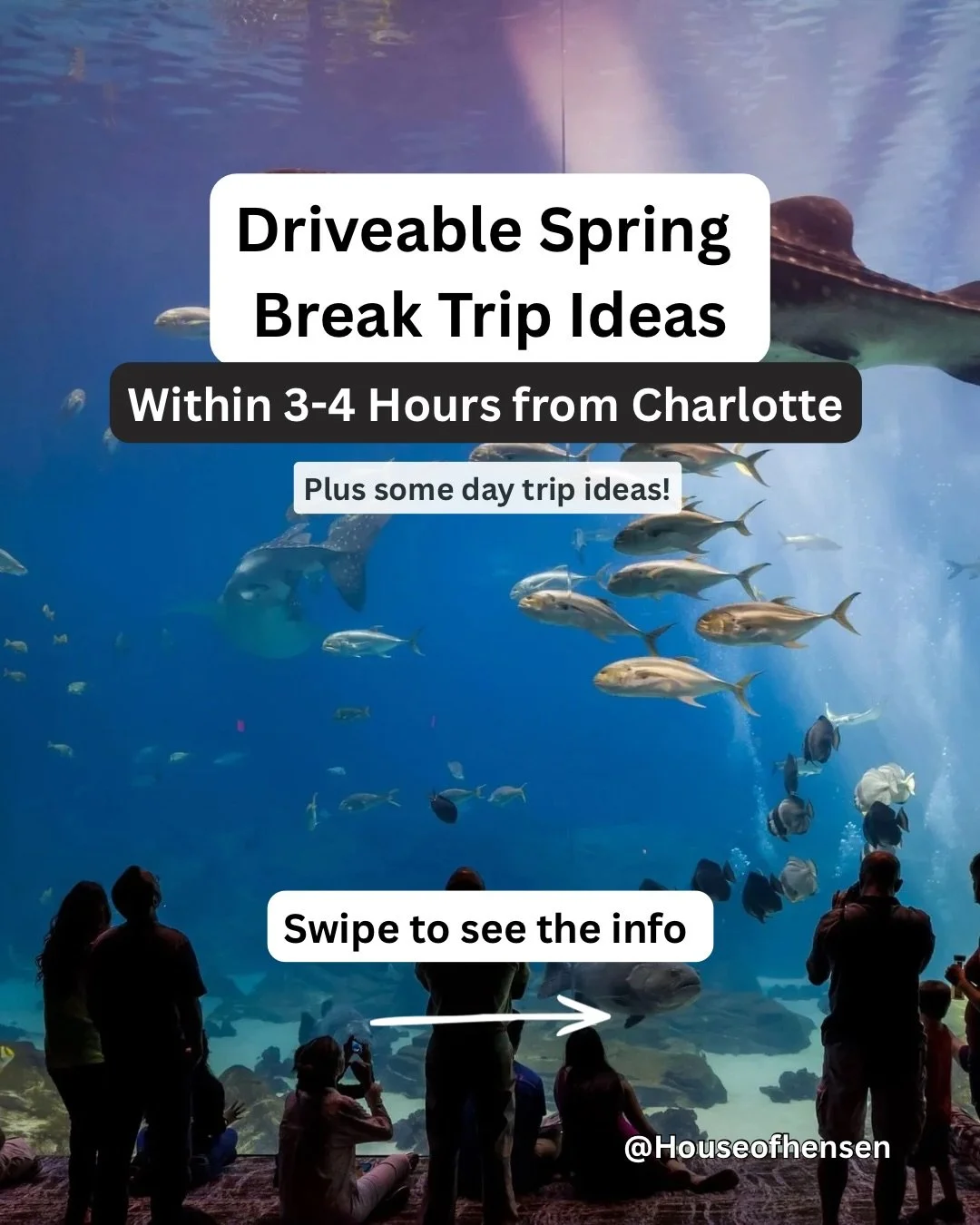 🚗 Driveable Spring Break Trip Ideas from Charlotte 

If you&rsquo;re trying to figure out Spring Break plans here are some easy family-friendly trips with lots to do. 

One of the best things about living here is that within just a few hours, you ca