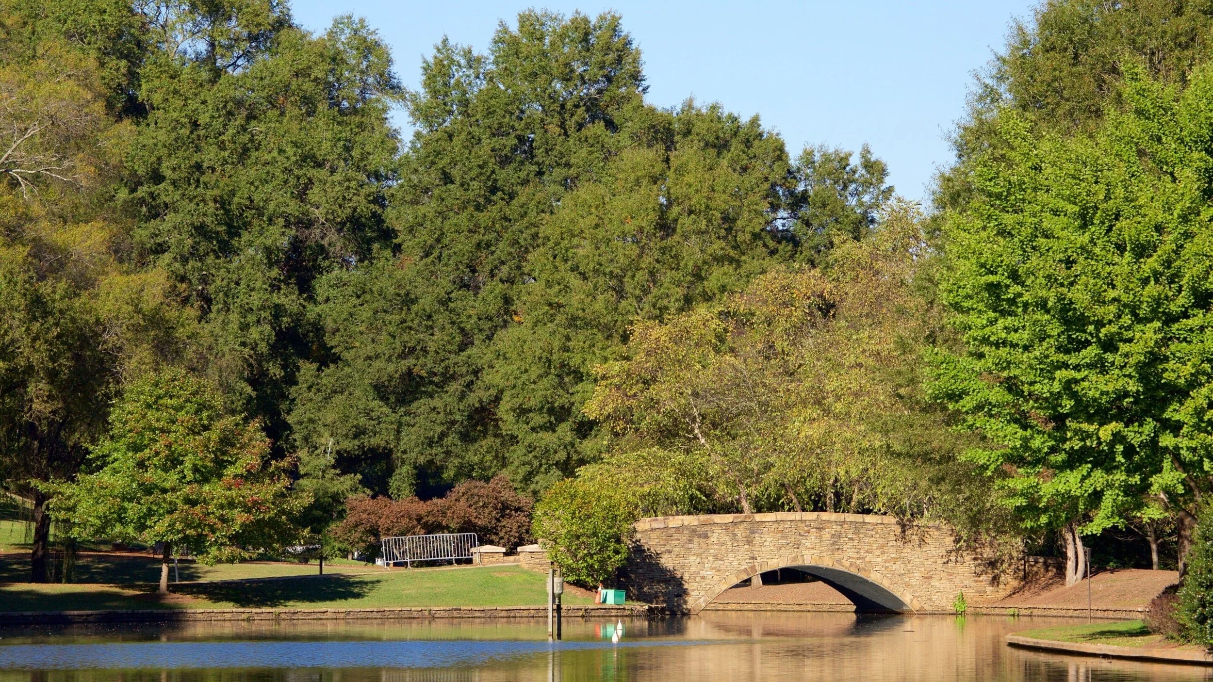 9 Outing Ideas for a Nice Day Around Charlotte