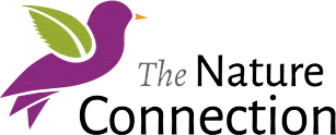 The Nature Connection