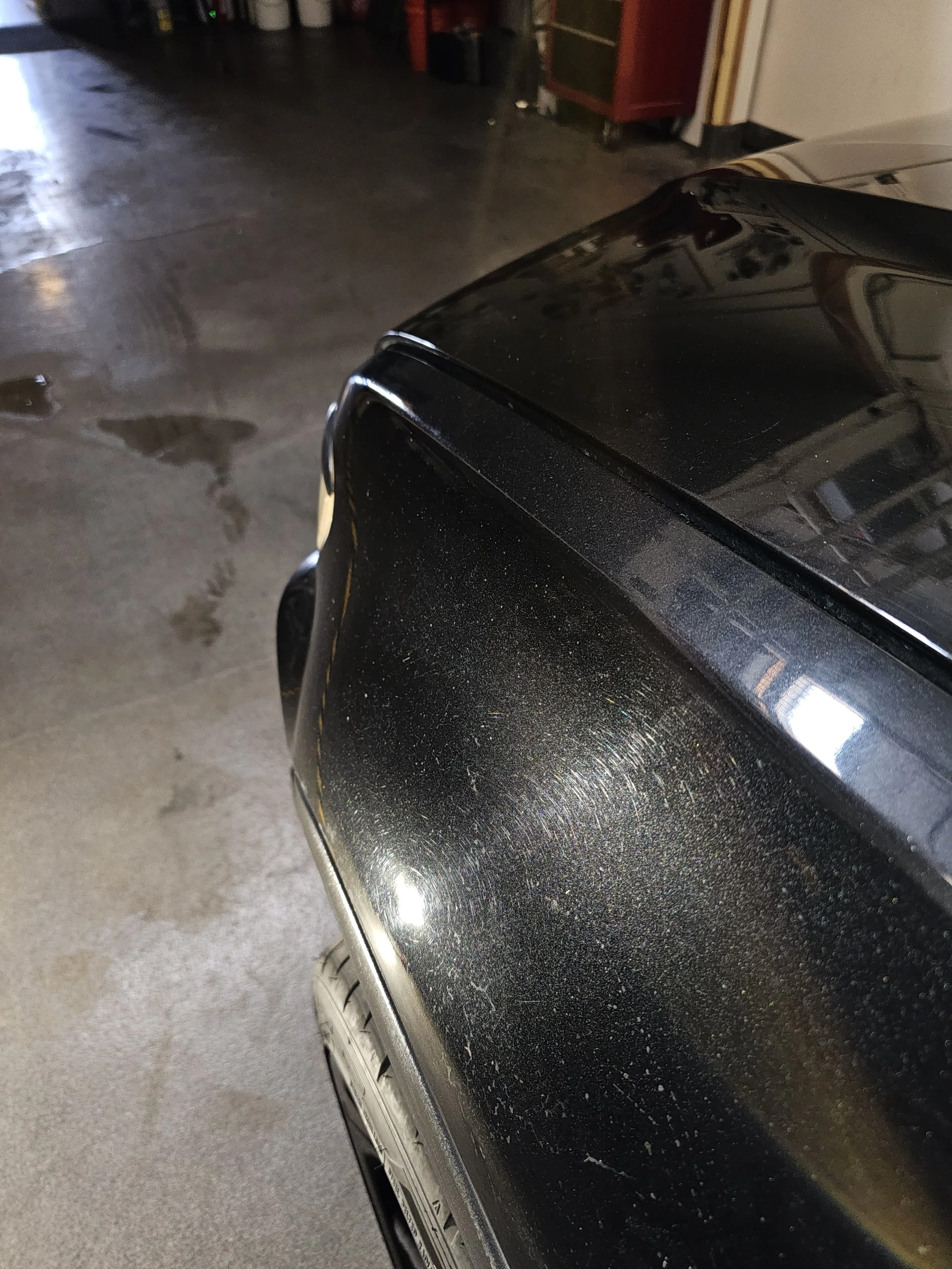 BMW X5 Alpina Paint Correction 1.jpg
