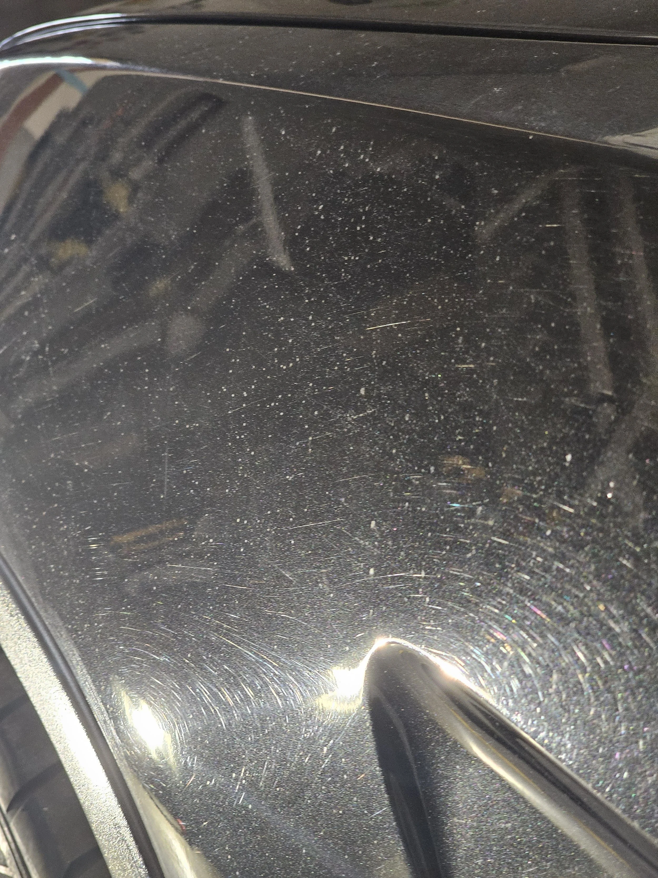 BMW X5 Alpina Paint Correction 5.jpg