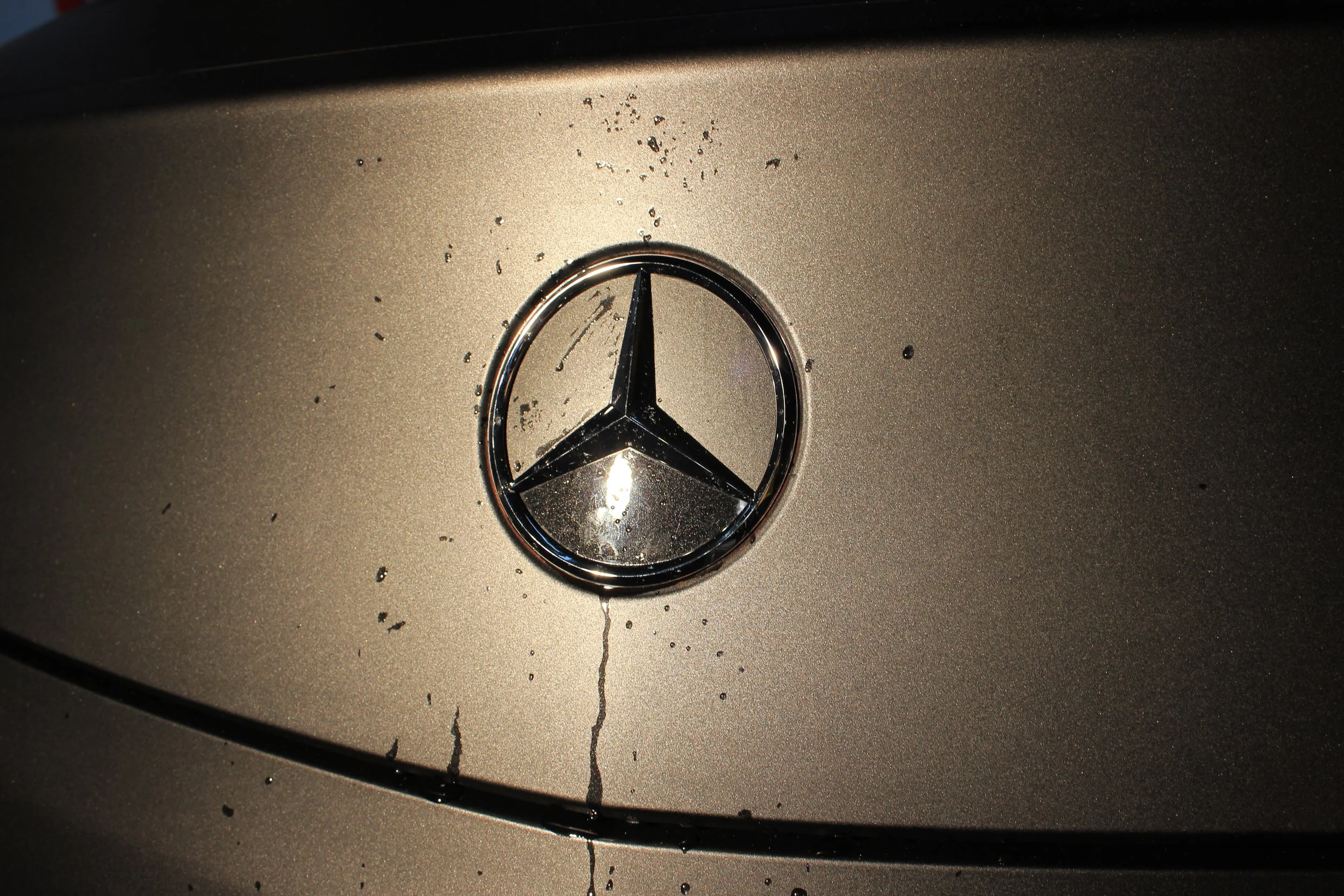 Wilber Pan 潘瑋柏 Pān Wěibó - SLS AMG 16.JPG