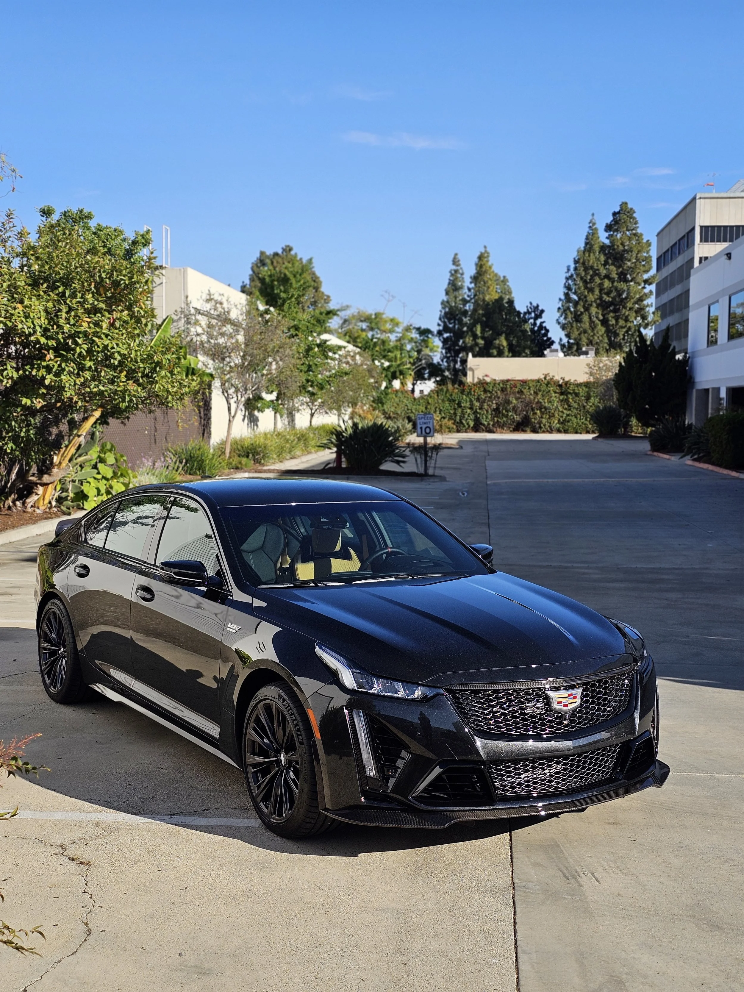 Cadillac CTSV Paint Correction 8.jpg