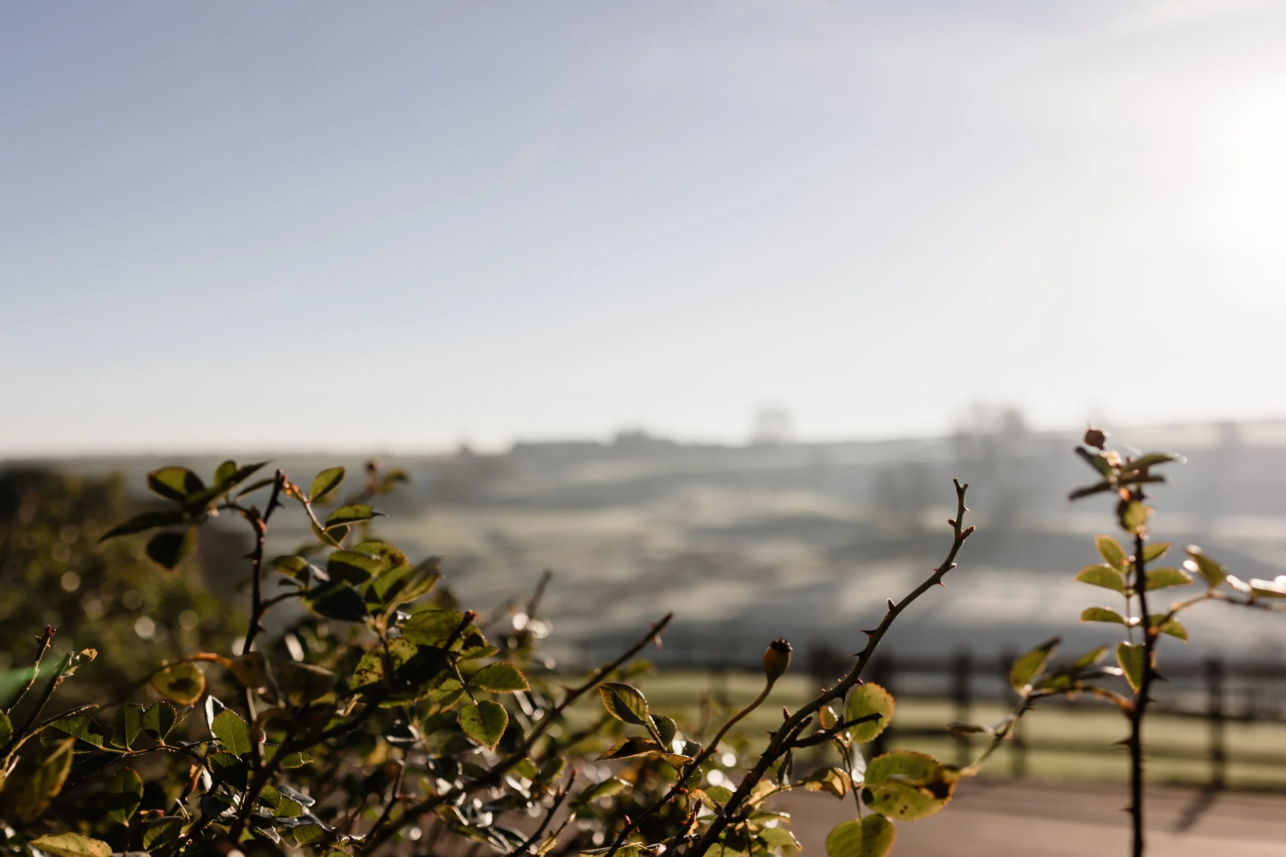 P&E | KINGSCOTE BARN WEDDING PHOTOGRAPHY PREVIEW-1.JPG