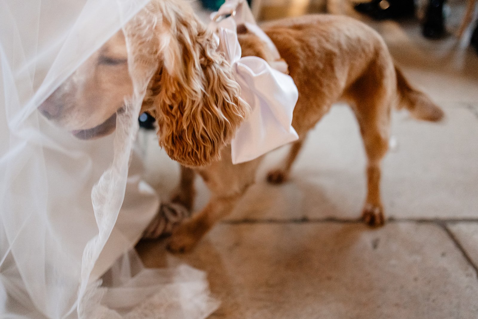 J&M _ OLD GORE WEDDING PHOTOGRAPHY PREVIEW-26.jpg