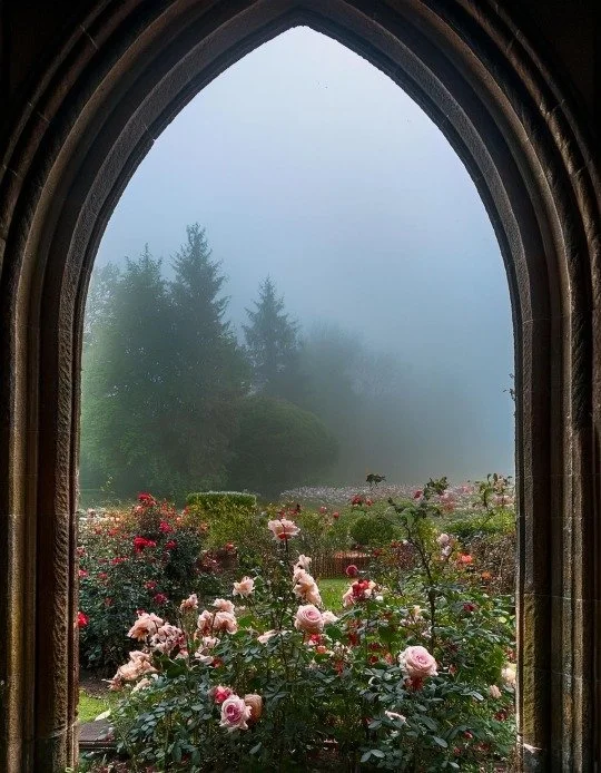 How To Trust your intuition