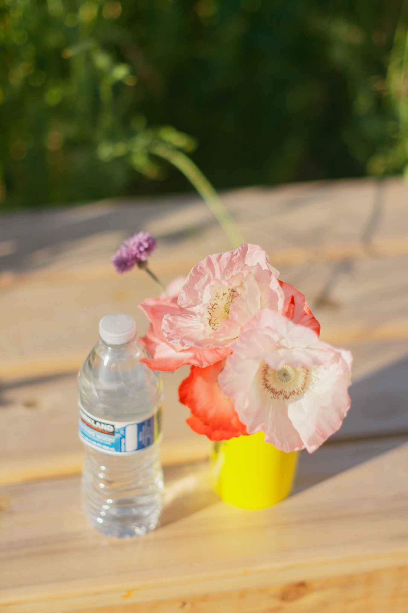 DSC_3728.jpg