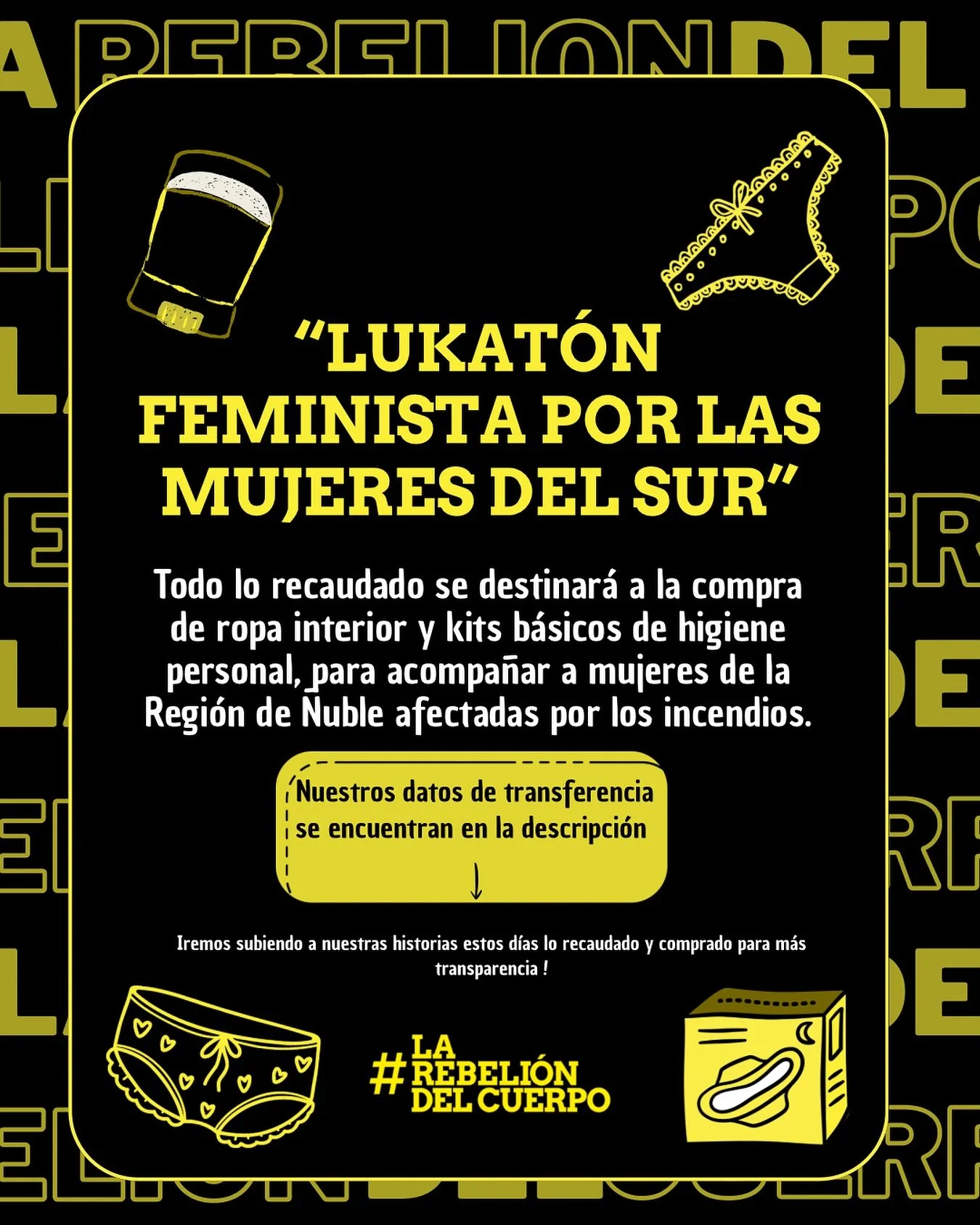 Dona por la dignidad de las cuerpas de las compa&ntilde;eras !💜
Estamos realizando esta recaudaci&oacute;n de dinero para ir en ayuda a mujeres de la regi&oacute;n de &Ntilde;uble quienes perdieron todo en los incendios. Nos quisimos enfocar en esta