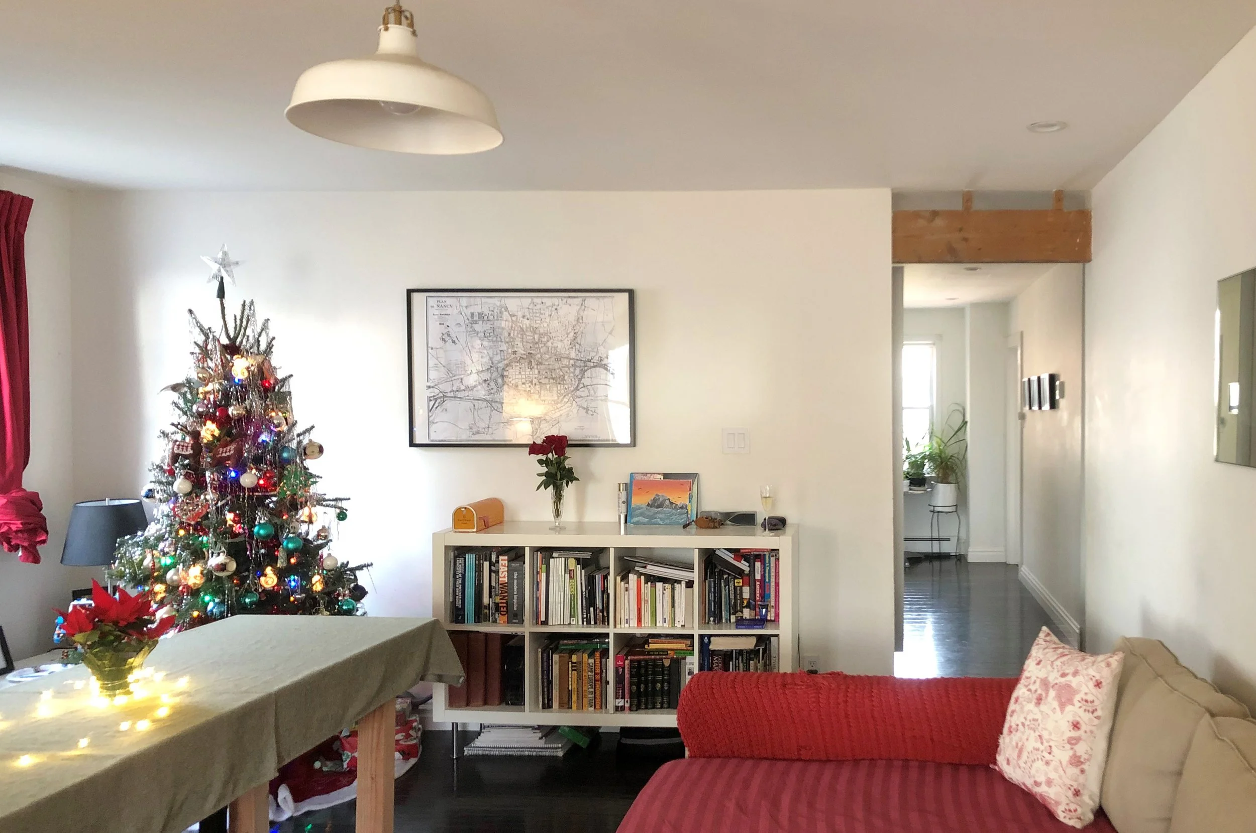 Living Room_2 copy.jpg