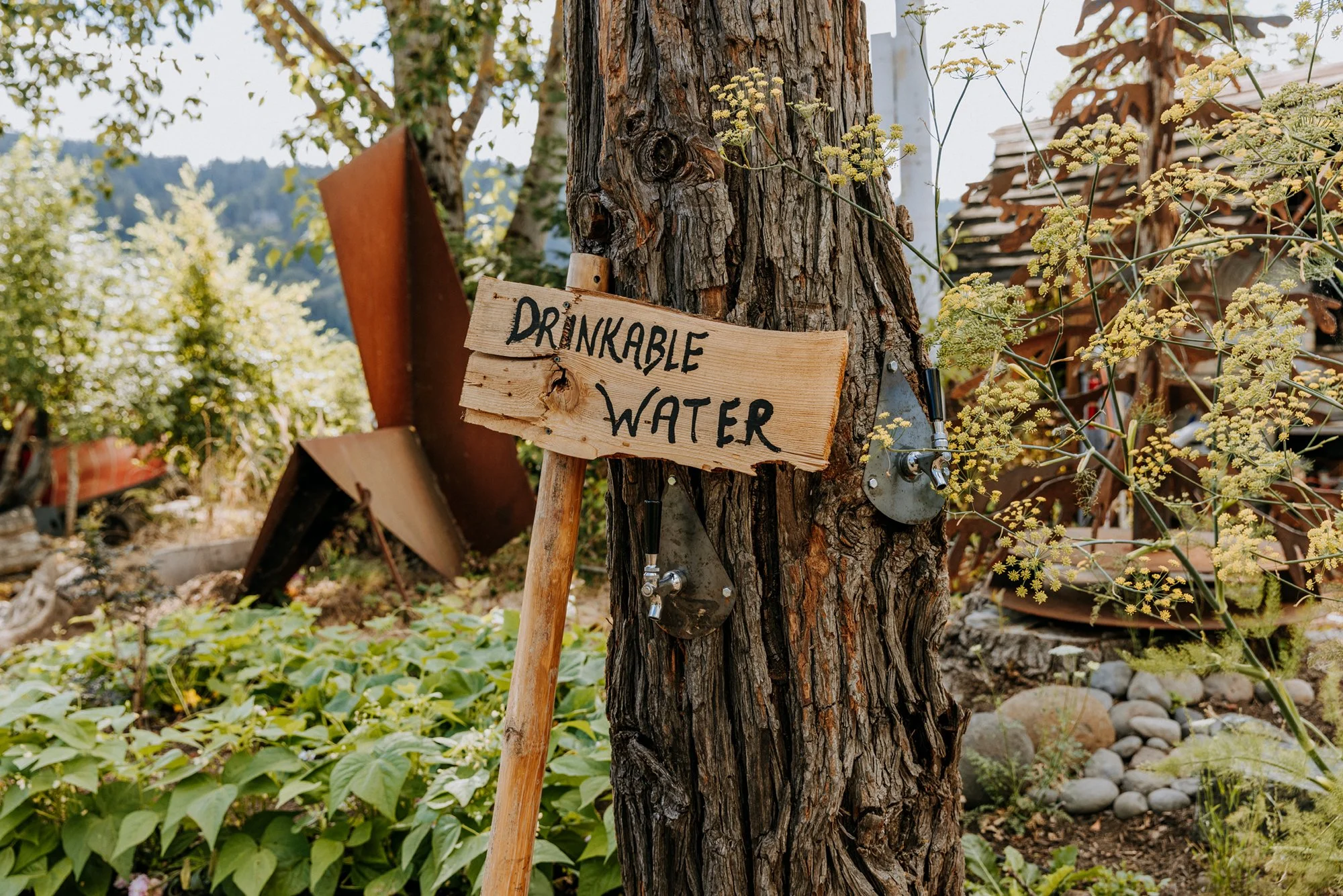 Dirtwire Portland-3.jpg