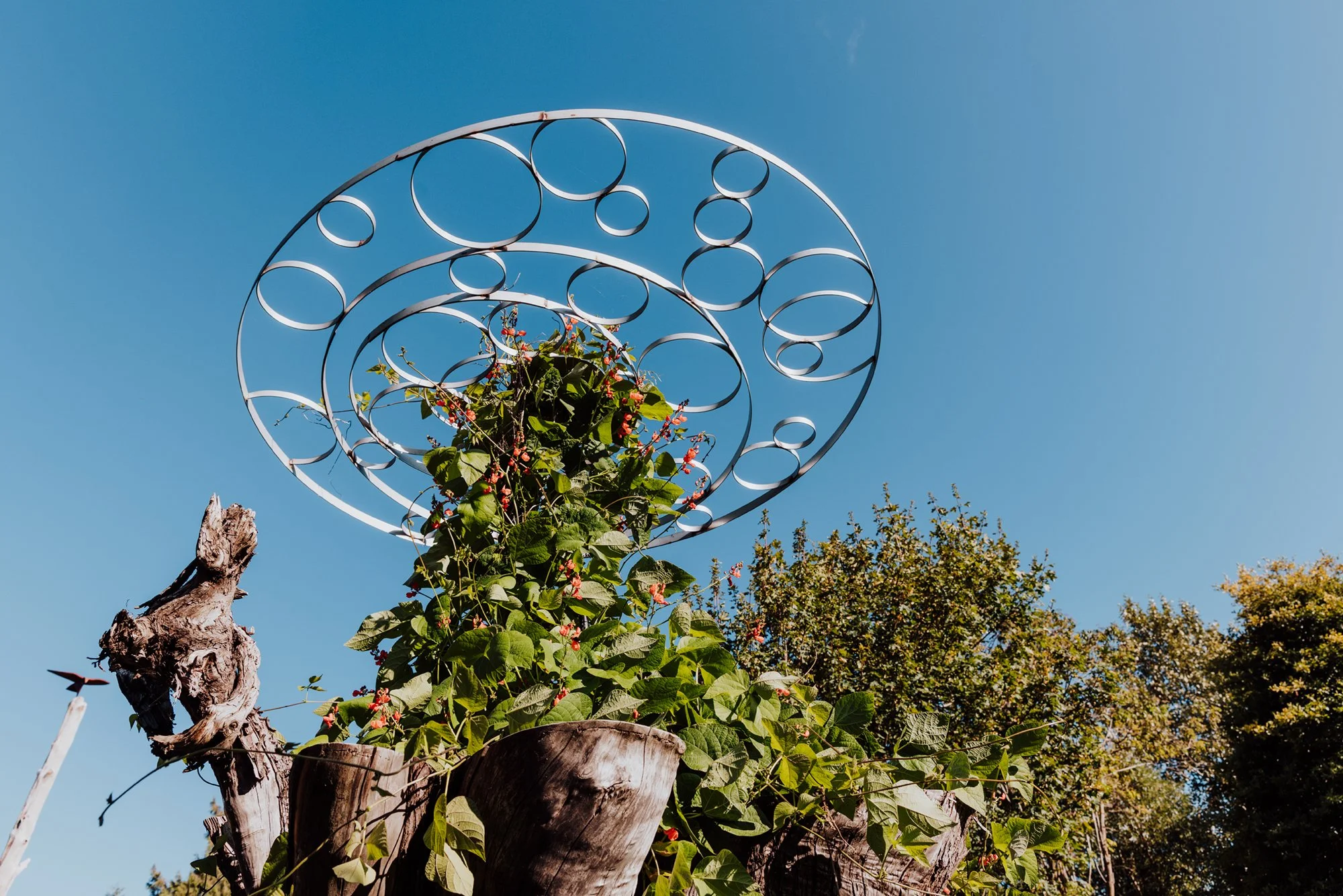 Dirtwire Portland-7.jpg