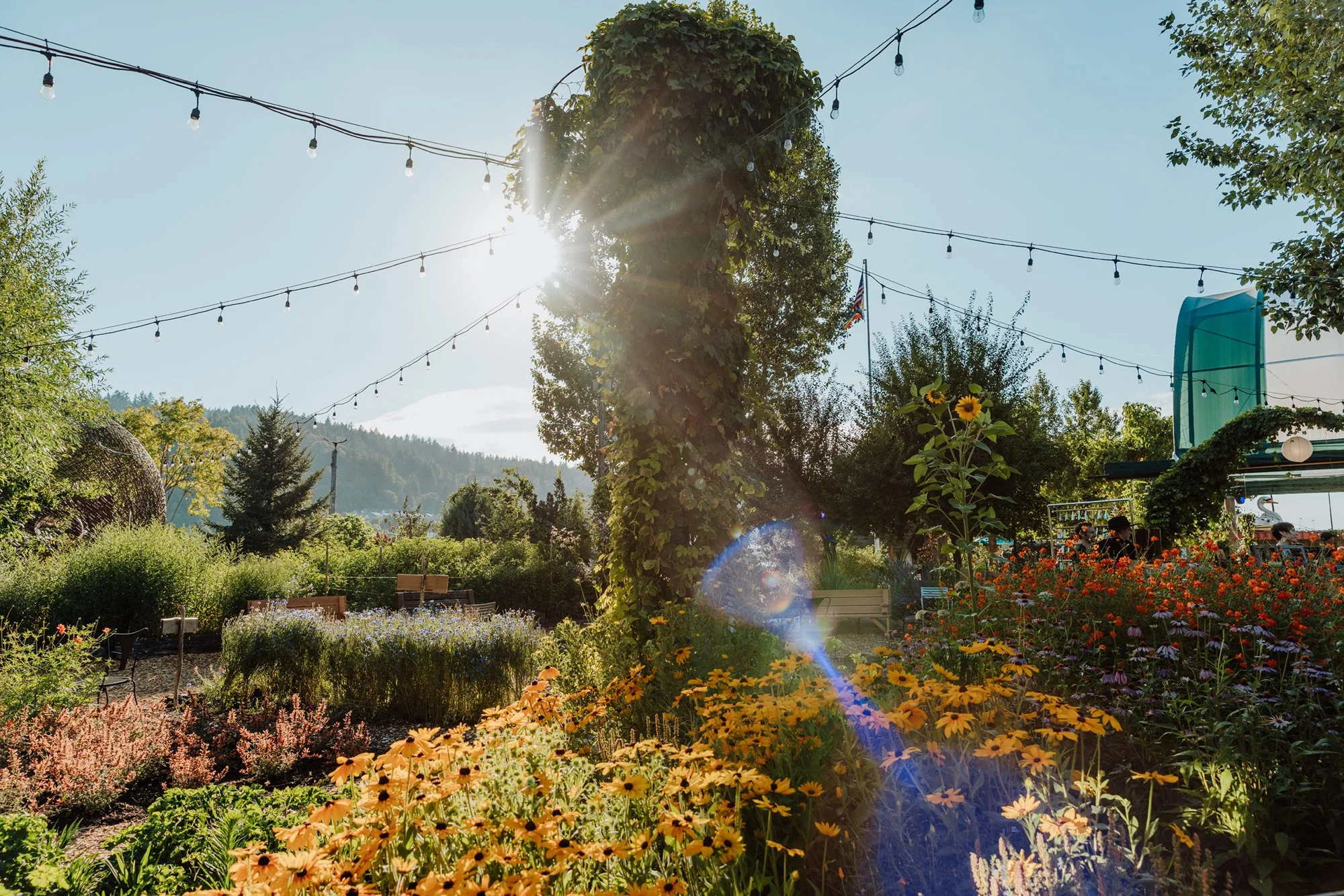 Dirtwire Portland-13.jpg