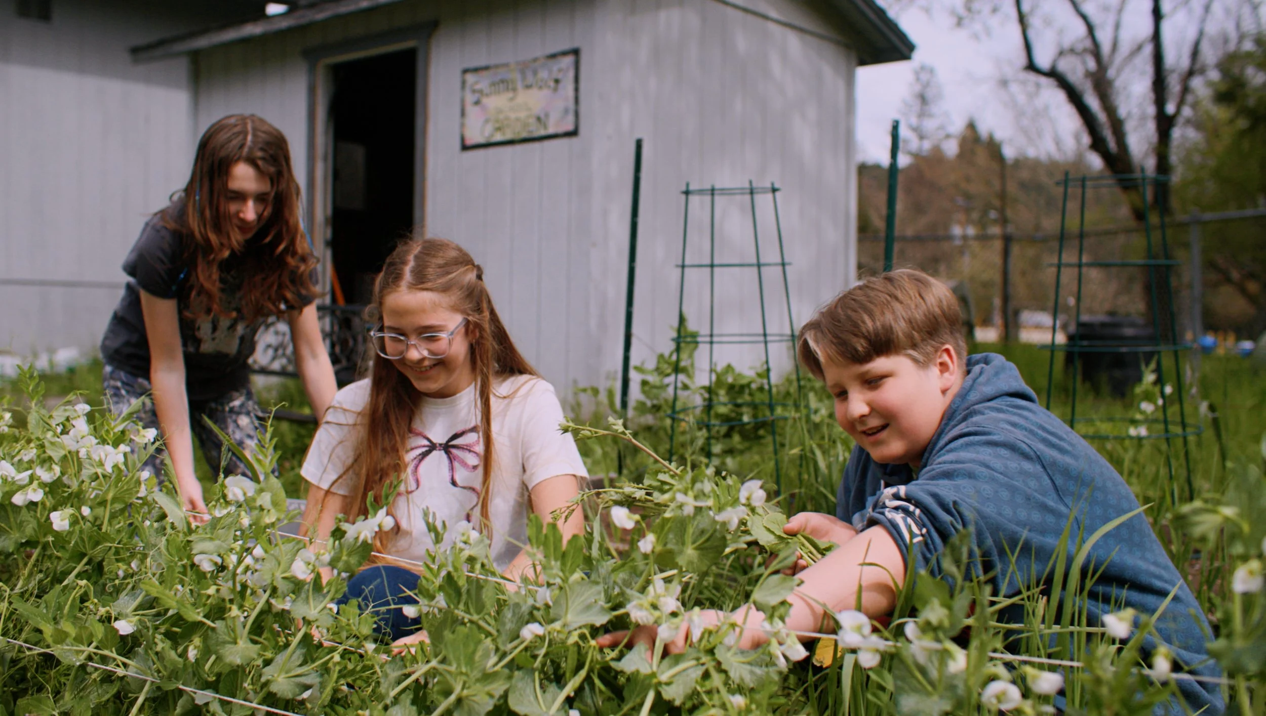Video Production for Nonprofits in Oregon — Sunny Wolf Charter School
