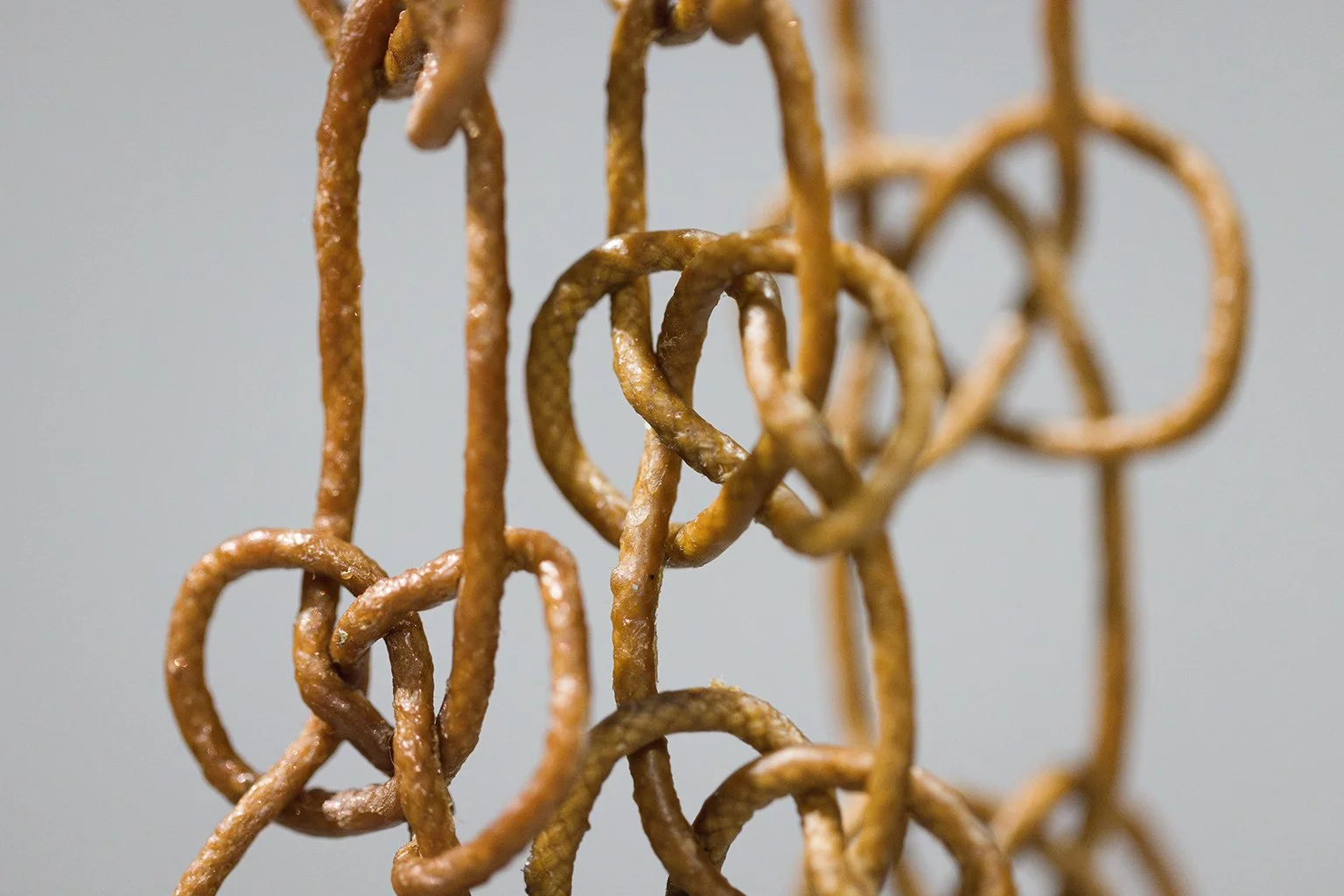 016-Aziza Nassih-Photo Michael Patten.jpg