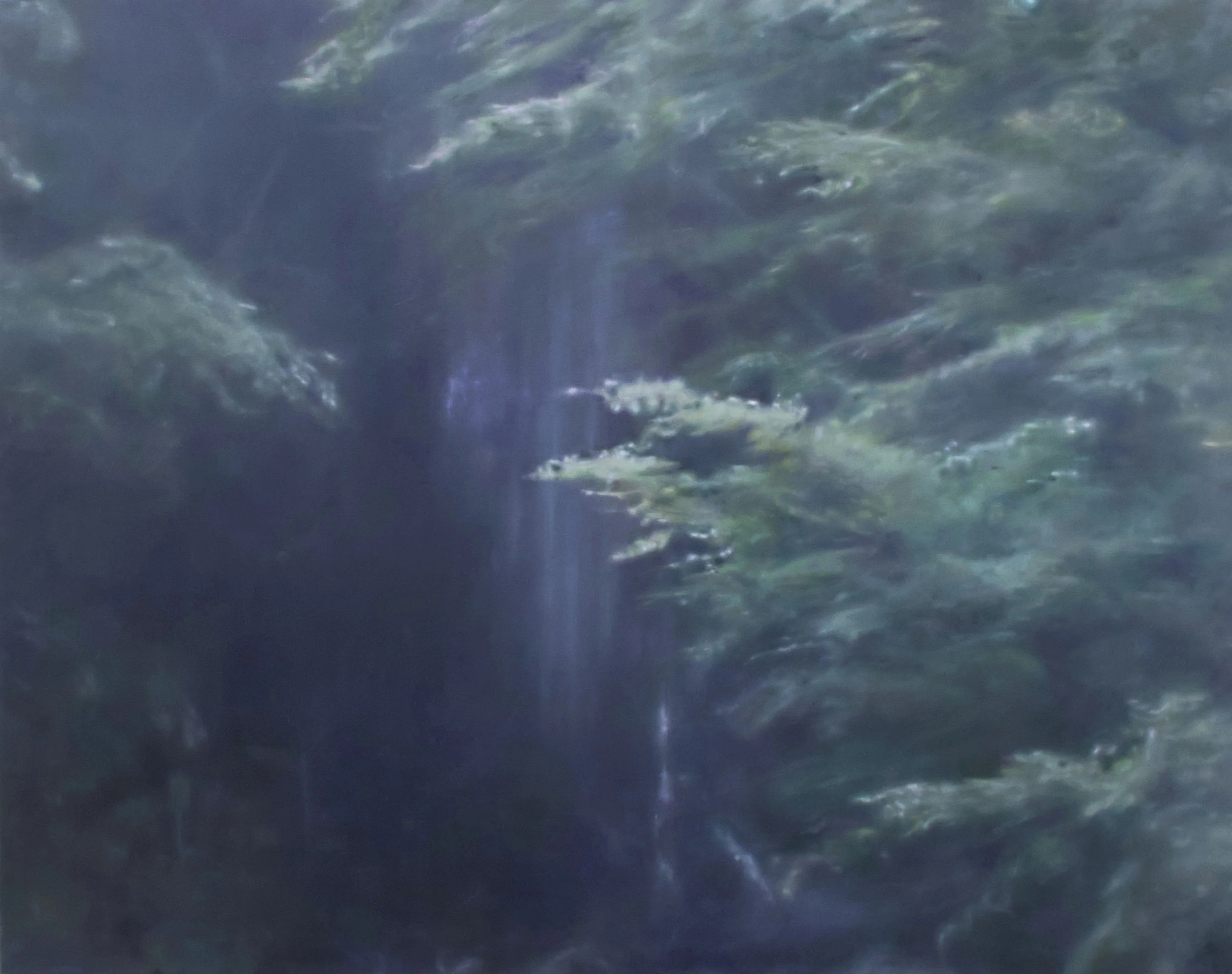 221.189.116.218 (Pintura de paisaje V)