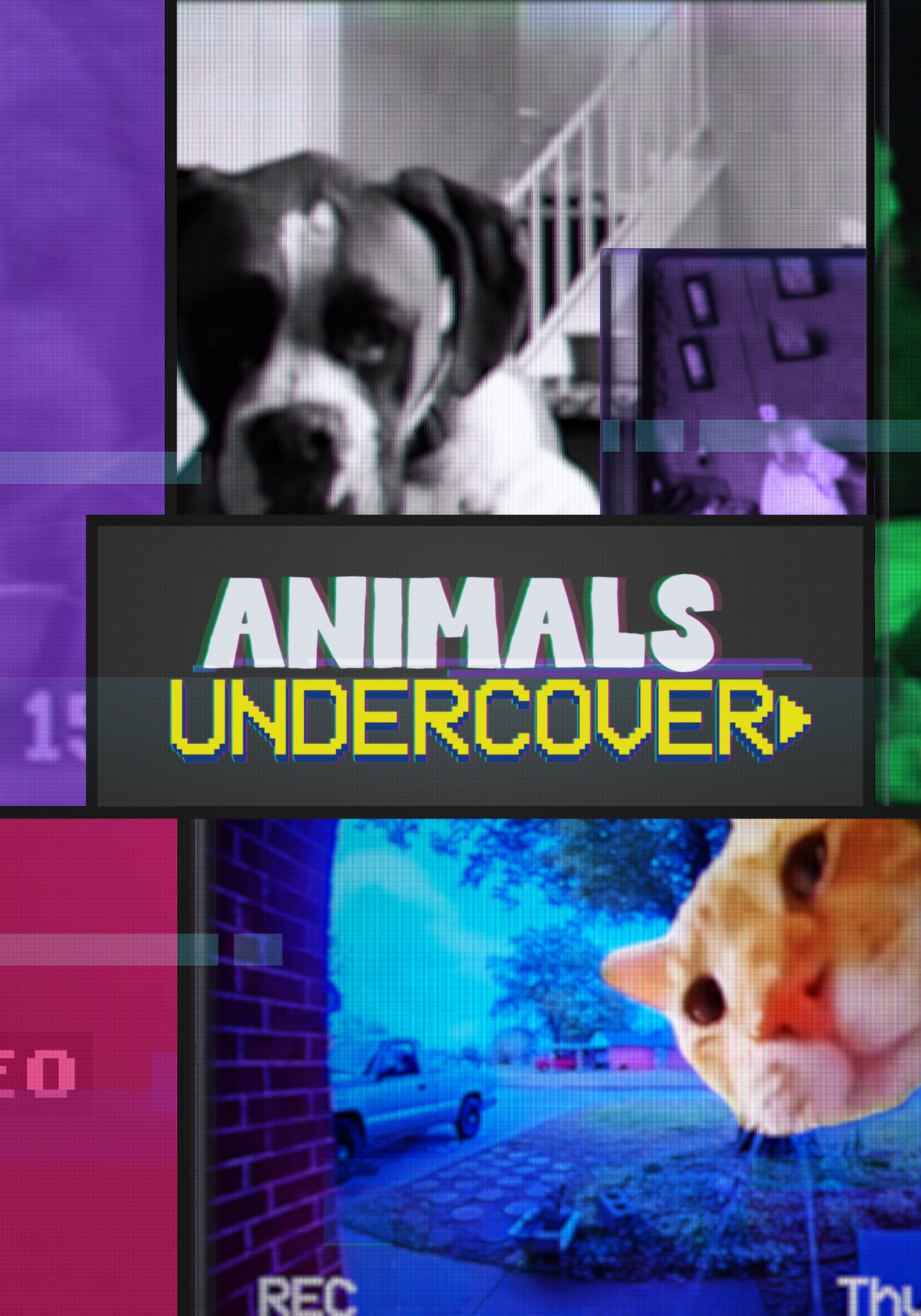 01_02_Series Level_Poster.jpg