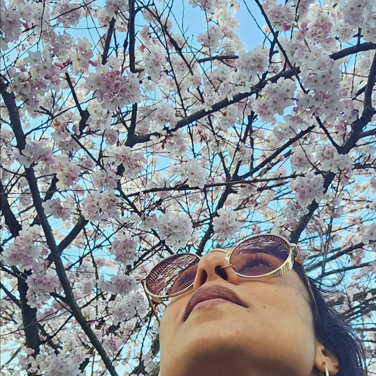 Cherry blossoms are in bloom! If your writing has felt stuck or went into hibernation over winter, this is your invitation to come back to it&mdash;drop-in workshops on Sunday, April 5 at 12pm PST or&nbsp;Saturday, April 18 at 10am PST and/or the nex