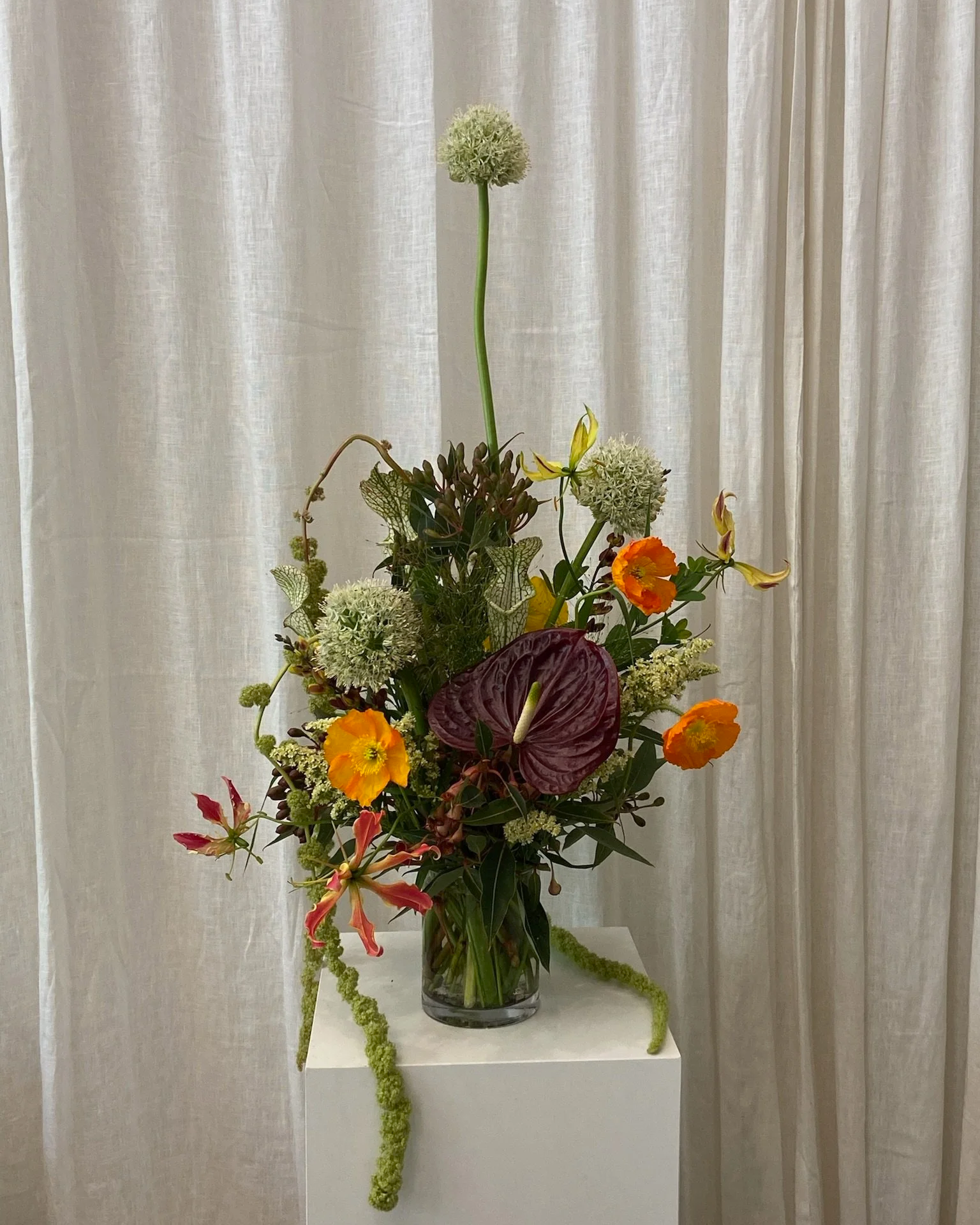 IMG_3952.png