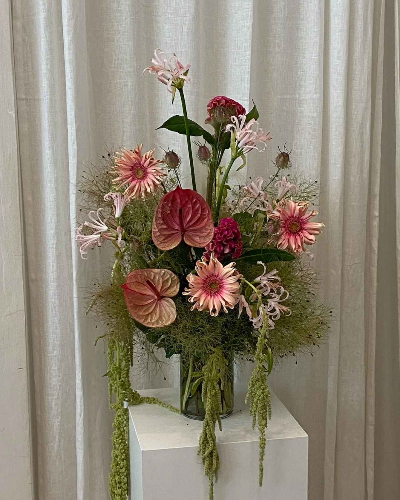 IMG_5824.png