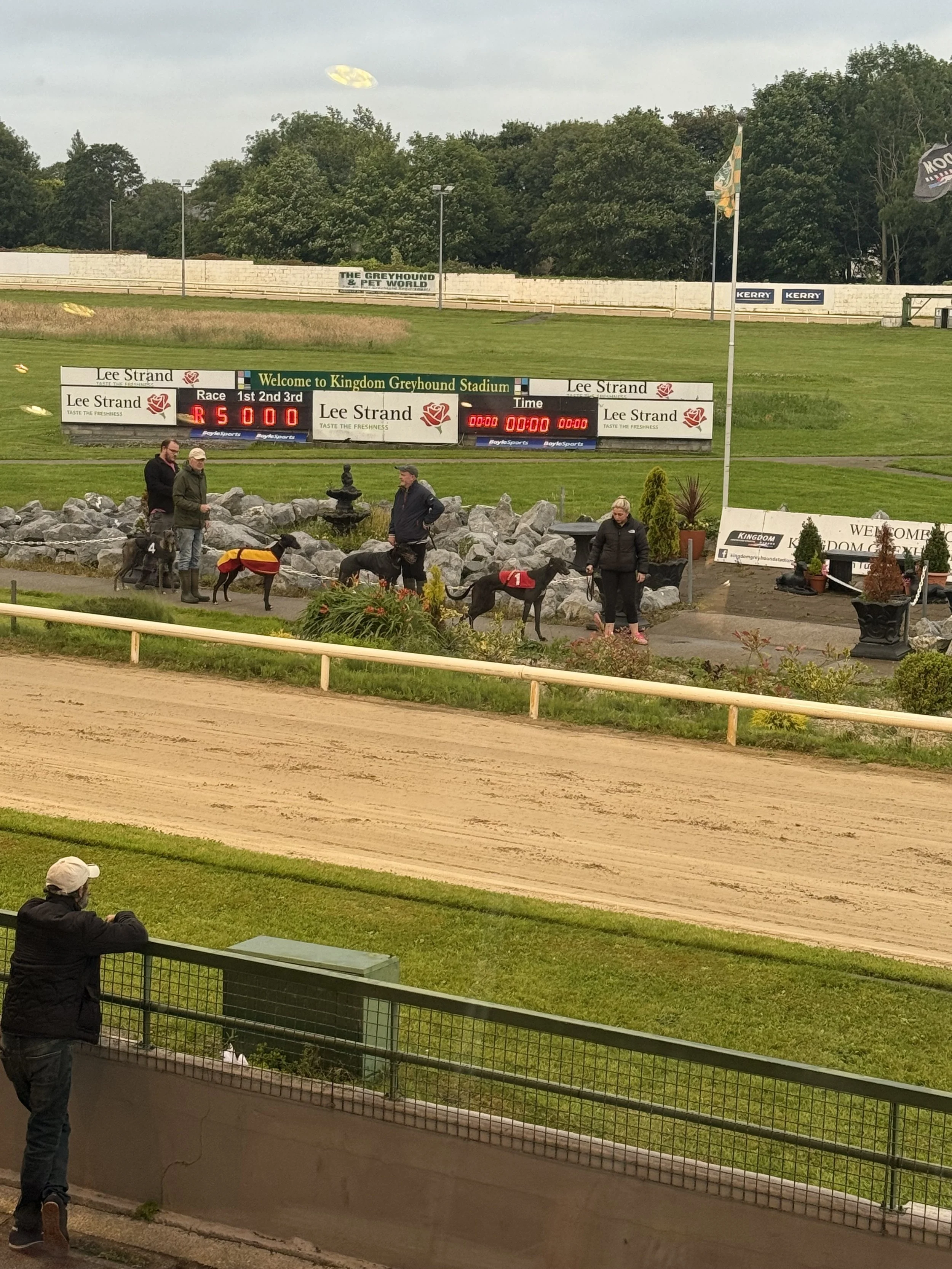 🐾 Racing, Laughter & a Sweet Surprise at the Tralee Greyhound Track 🍦