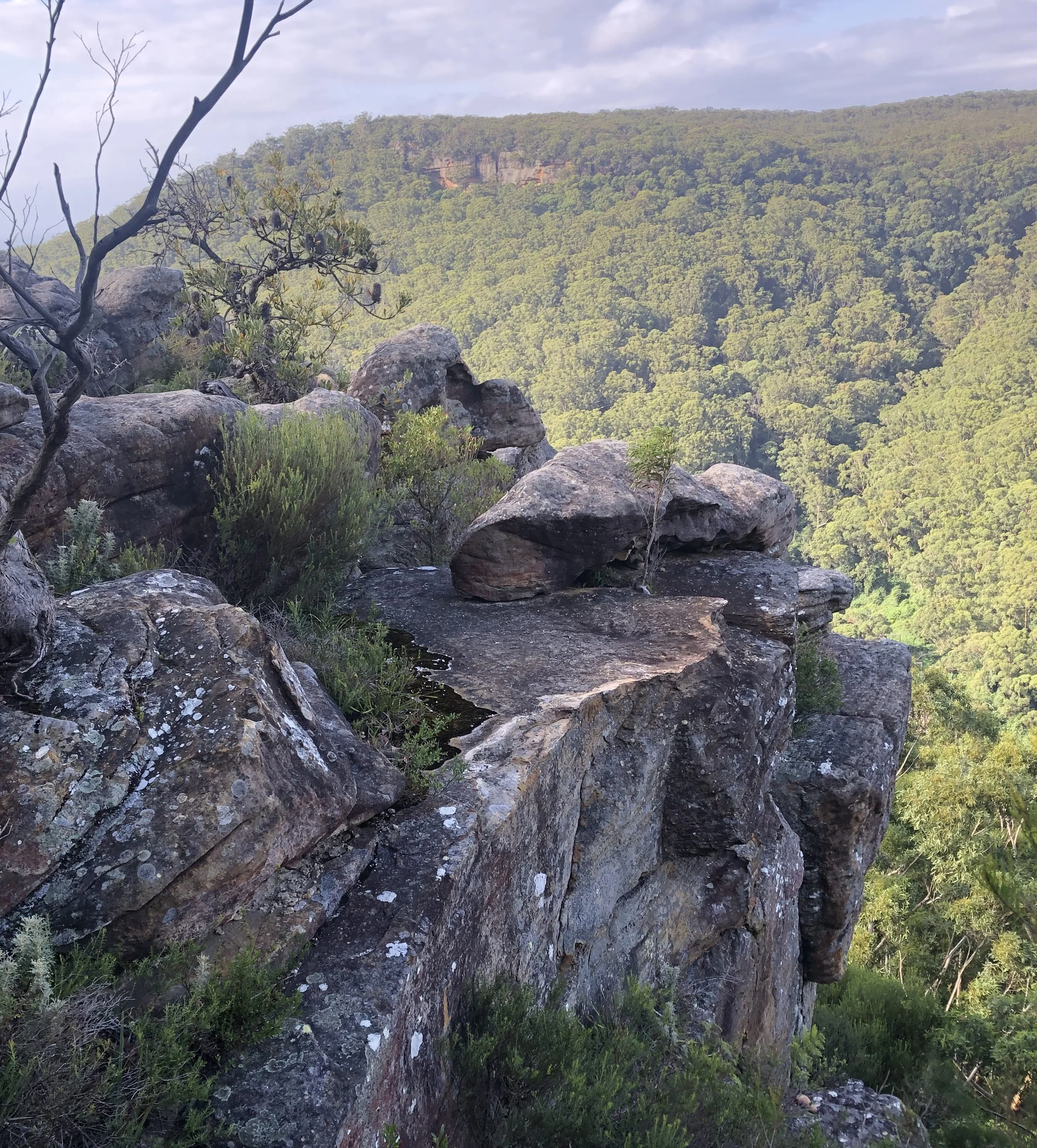 Stanwell Tops headland Dharawal Country Northern Illawarra NSW