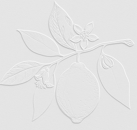 Studio South Designs 