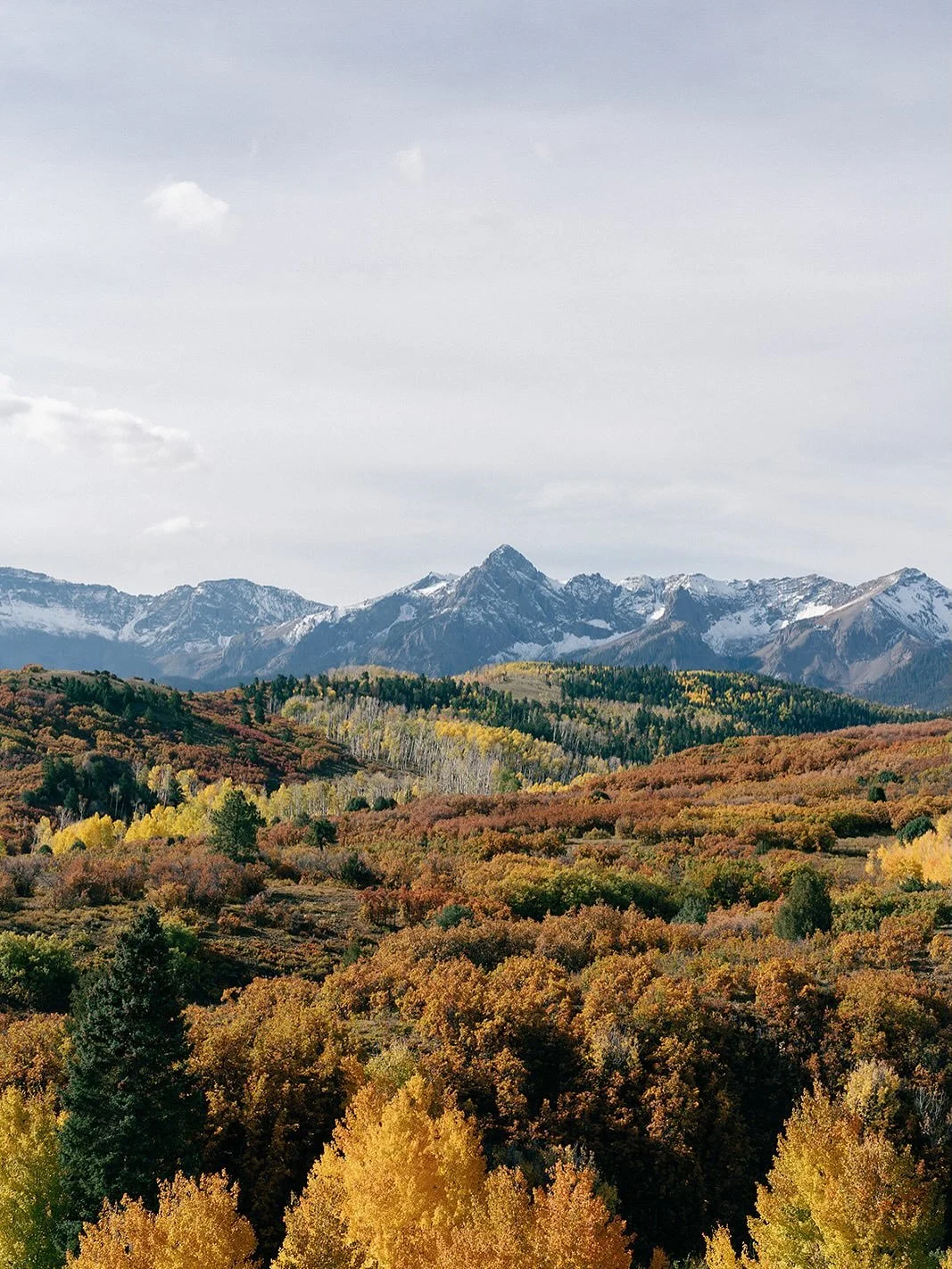 If you have never visited Colorado during autumn, we implore you to add it to your bucket list 🍁 Timeless feature from @rockymtnbride featuring our Cafe au Lait pillar and taper candles. Gorgeous photos from @catgalletti 🤍

Publication | @rockymtnb