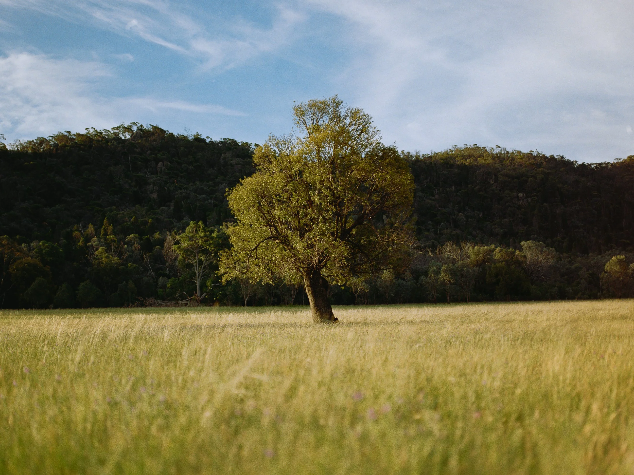 EmptyName 14-Edit.jpg