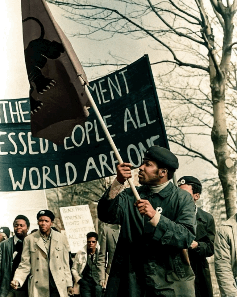 Movement Toolkit Collage