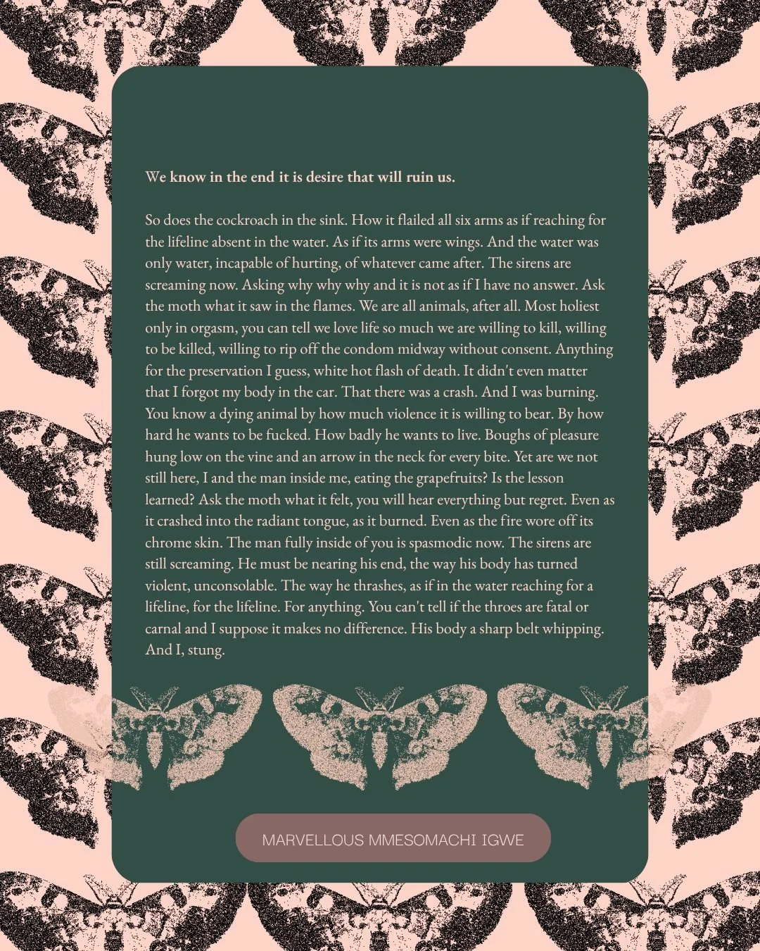 SLIDE 1 | Marvellous Mmesomachi Igwe | We know in the end it is desire that will ruin us. 
Marvellous Mmesomachi Igwe, Swan X, is a budding poet from Port Harcourt, Nigeria. He has been published in Weganda Review, Cloudscent Journal, Serotonin, Isel