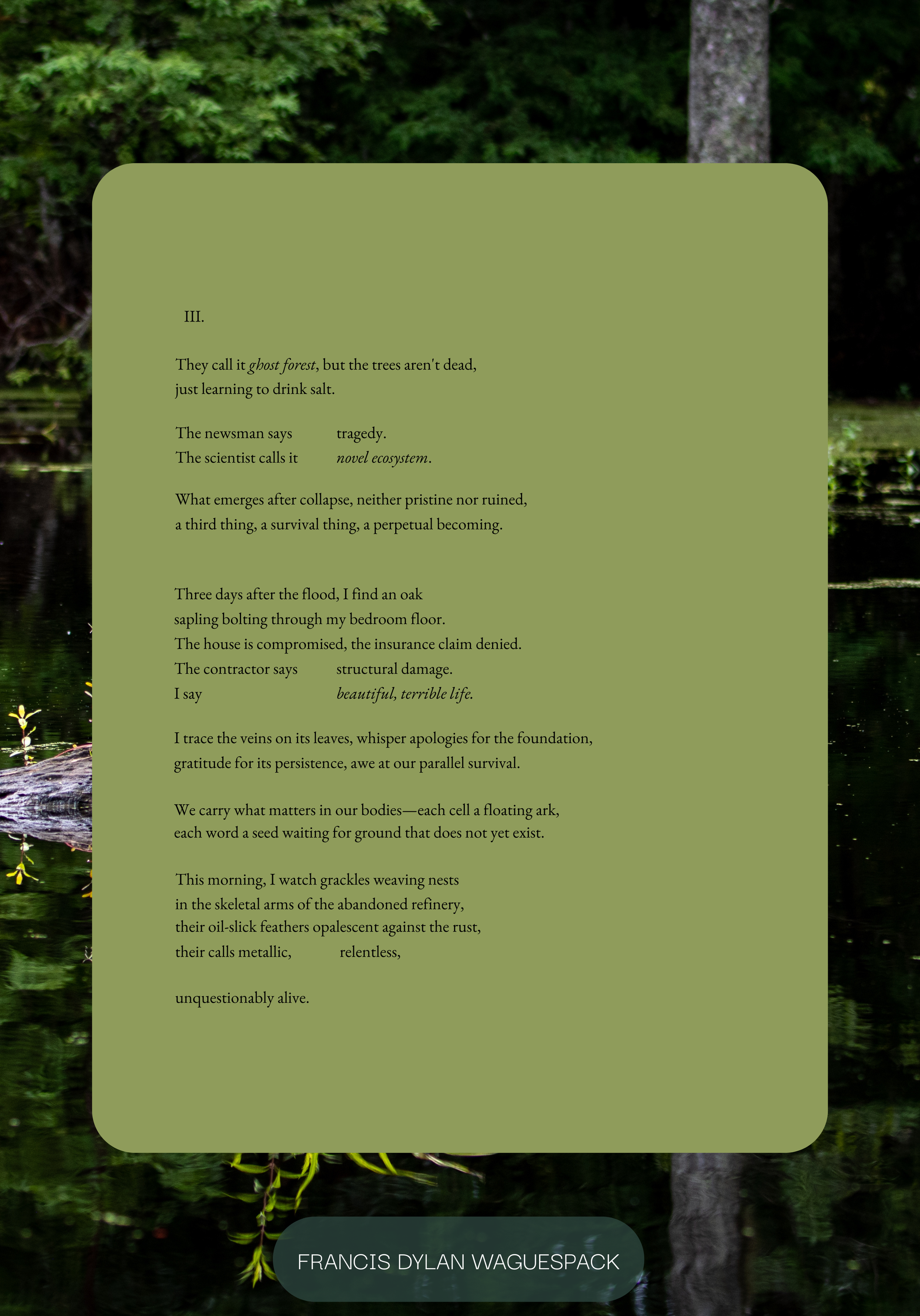 Francis Dylan Waguespack | Novel Ecosystem