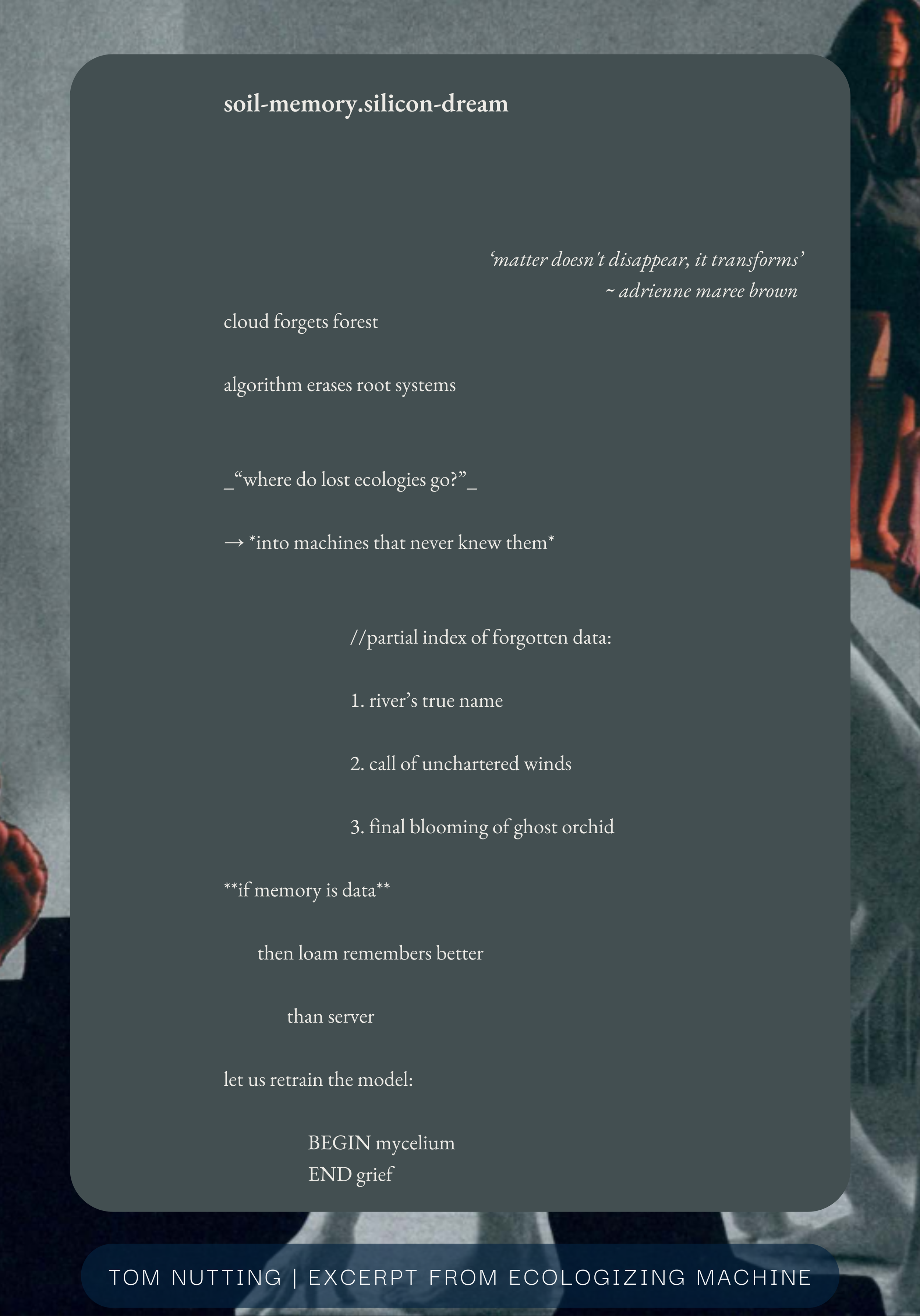 Tom Nutting | soil-memory.silicon-dream | excerpt from Ecologizing Machine