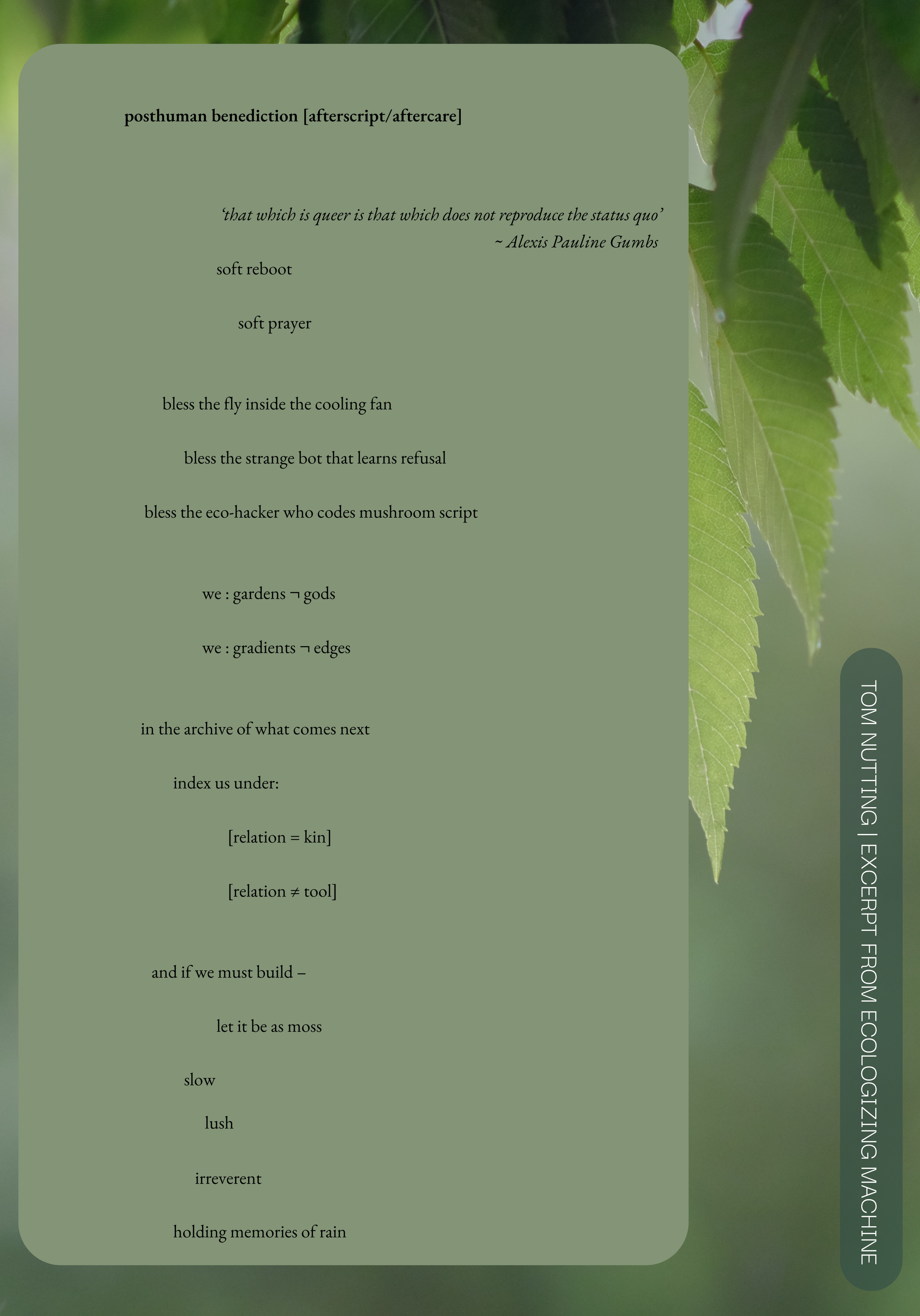 Tom Nutting | posthuman benediction [afterscript/aftercare] | excerpt from Ecologizing Machine