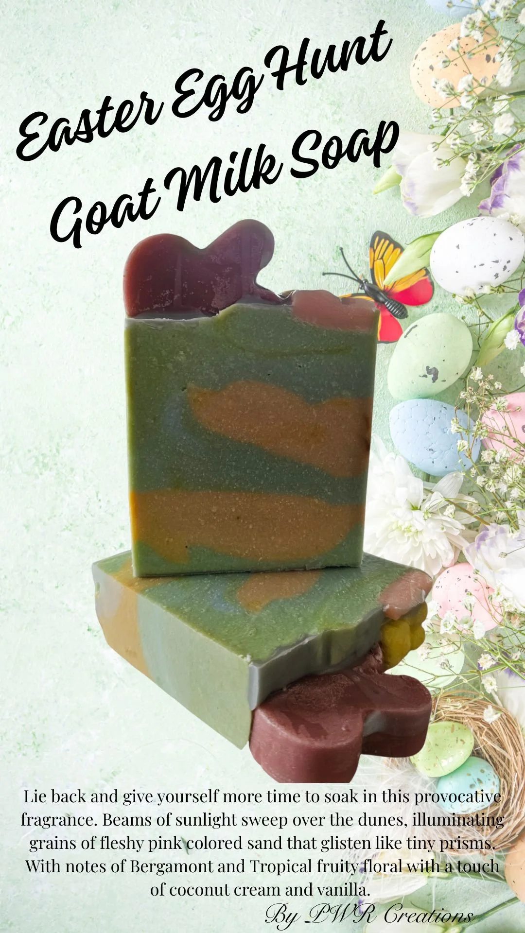 ITS BACK ANNOUNCEMENT.jpg