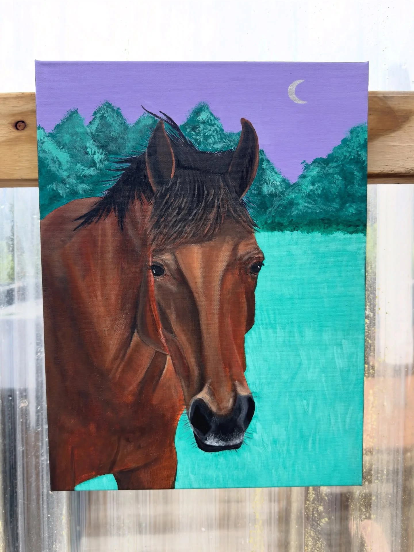 Summer project over the Christmas break 🙌🏽 Learning to paint my friend&rsquo;s horse 💫

Really have to stick with the process and get through the ugly parts before it&rsquo;s starts looking somewhat decent.

Since we are about to enter the year of