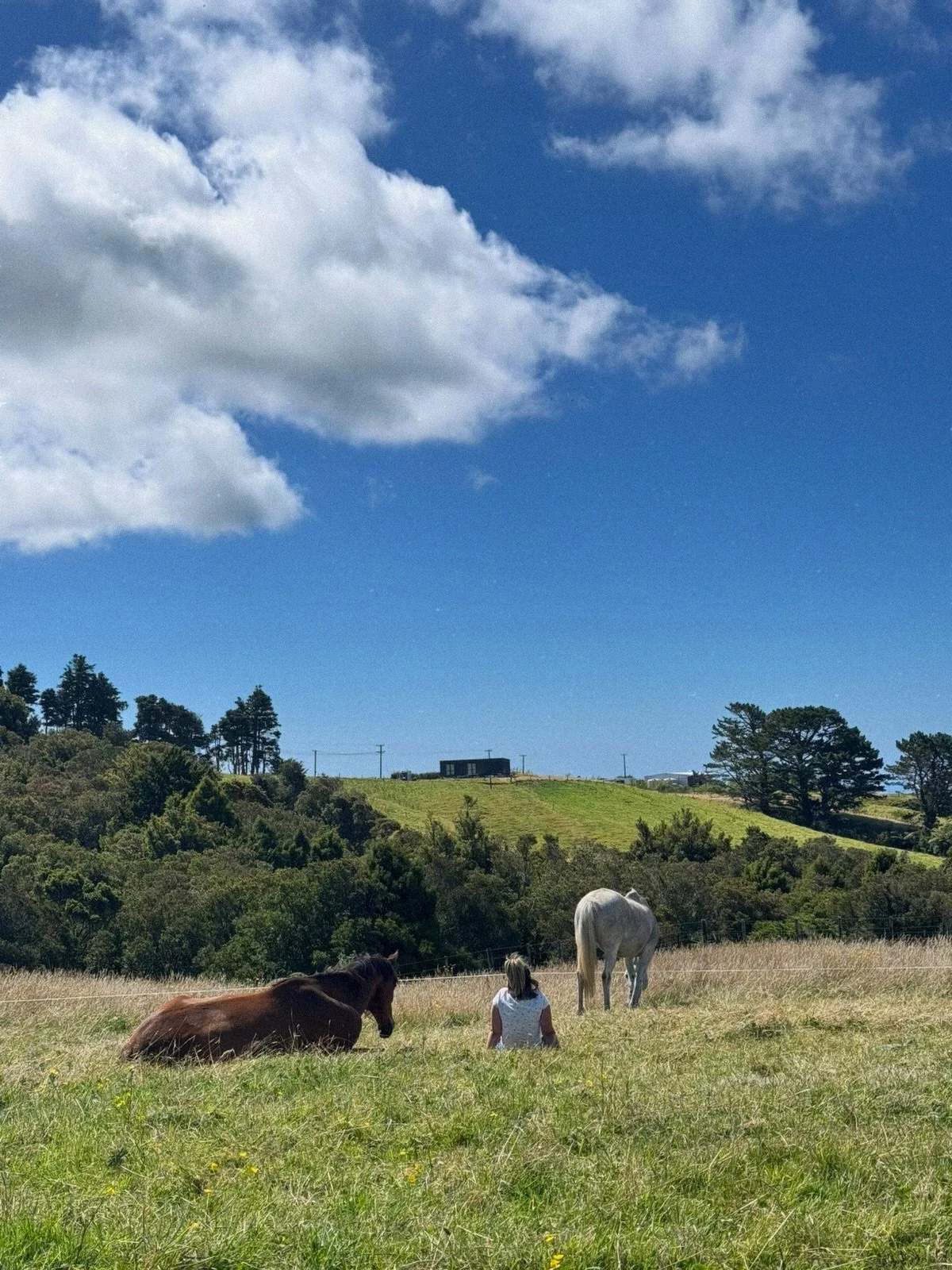 Home after a few days away at a Horse Connection &amp; Medicine course with @horse_healing_new_zealand 💫

I spend a lot of time observing, analysing and making sense of things whether that&rsquo;s in my job, my academic study or even in my day to da
