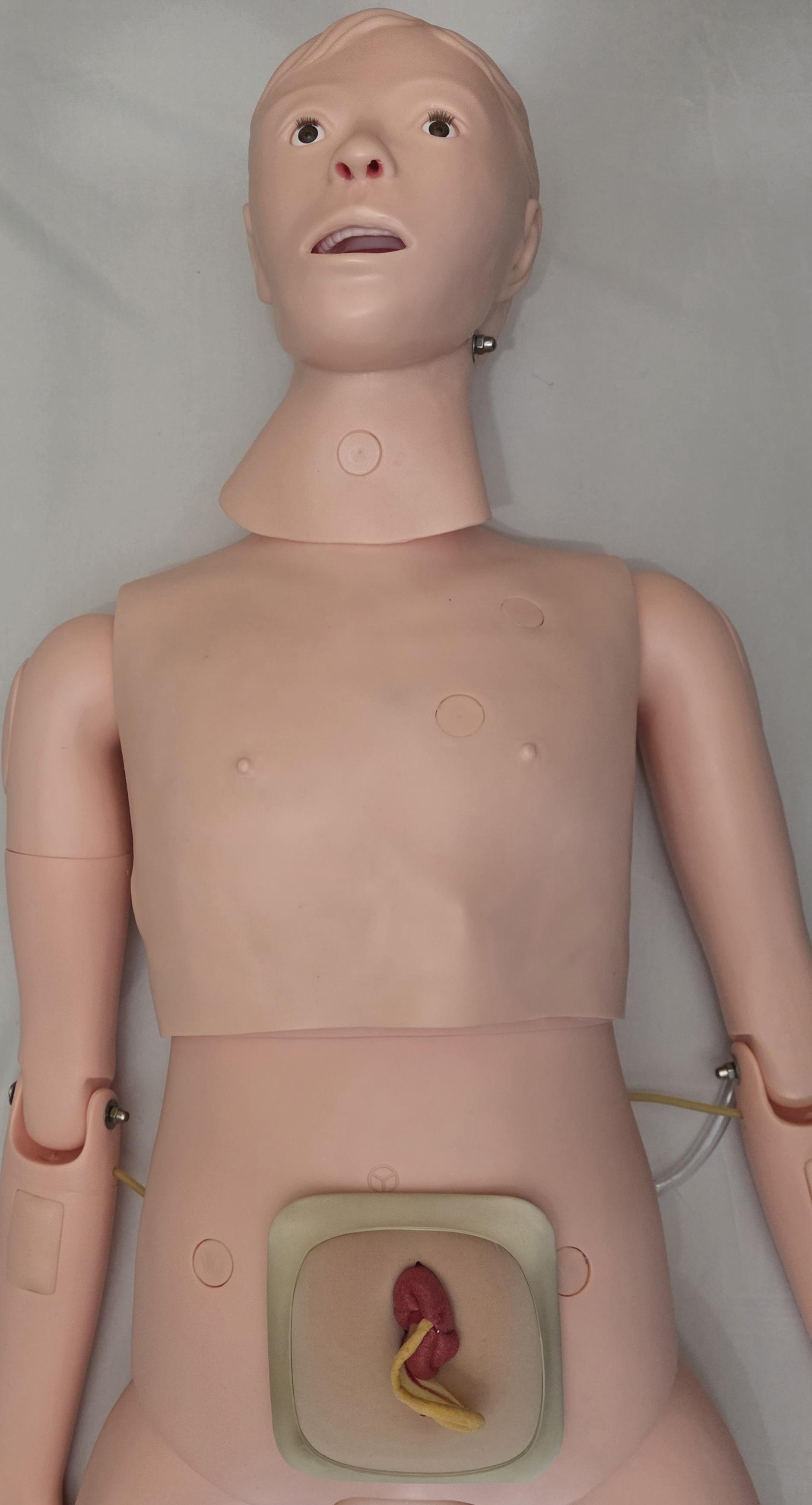 Simple Mannequin System