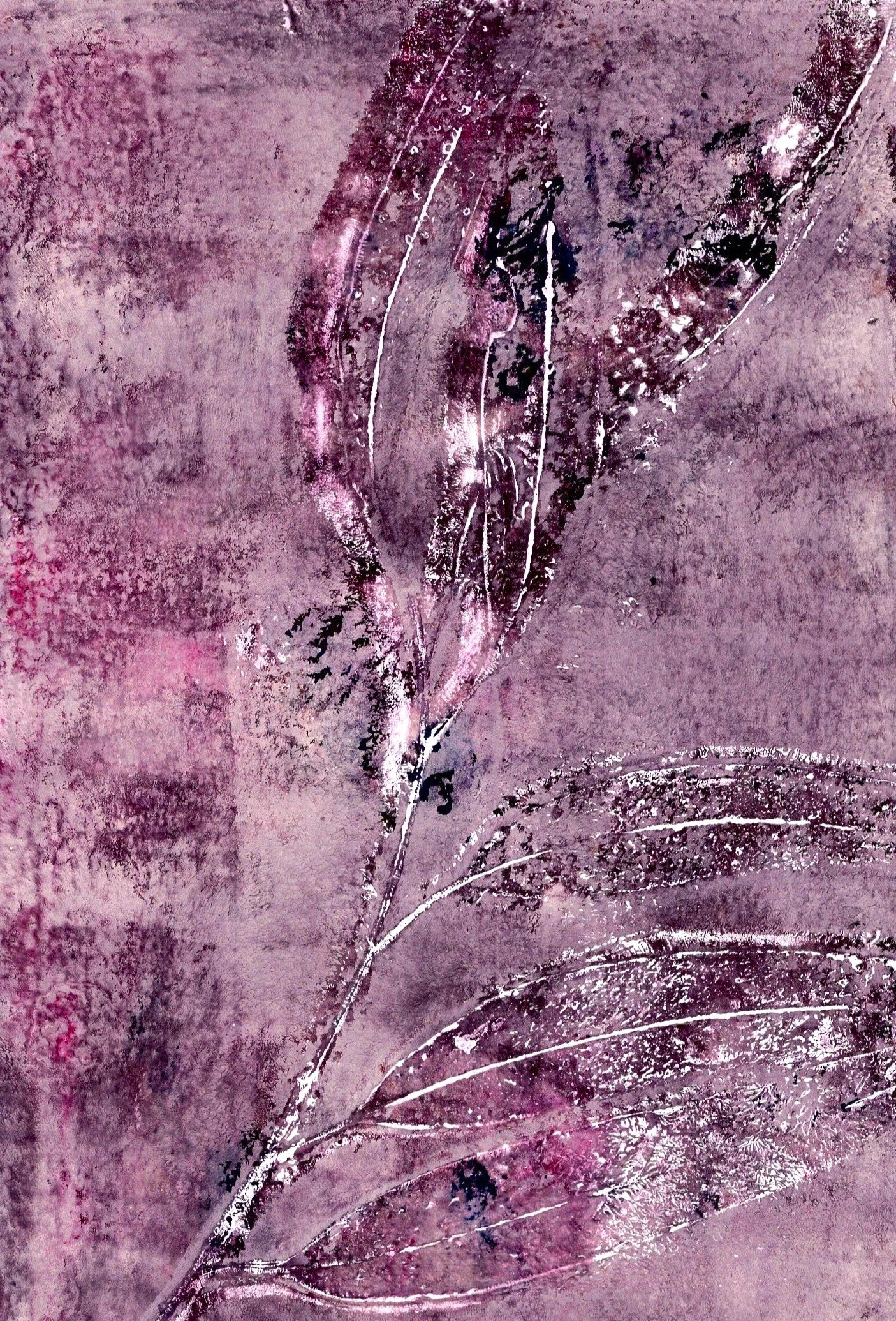 img20240906_11345673bcrop.jpg
