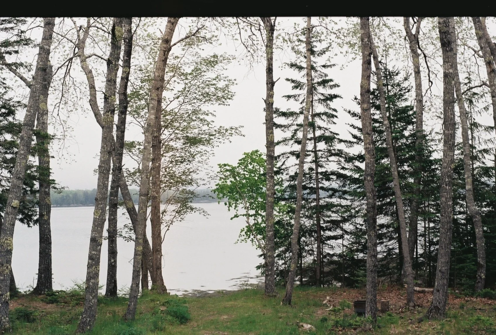 Maine- 2021