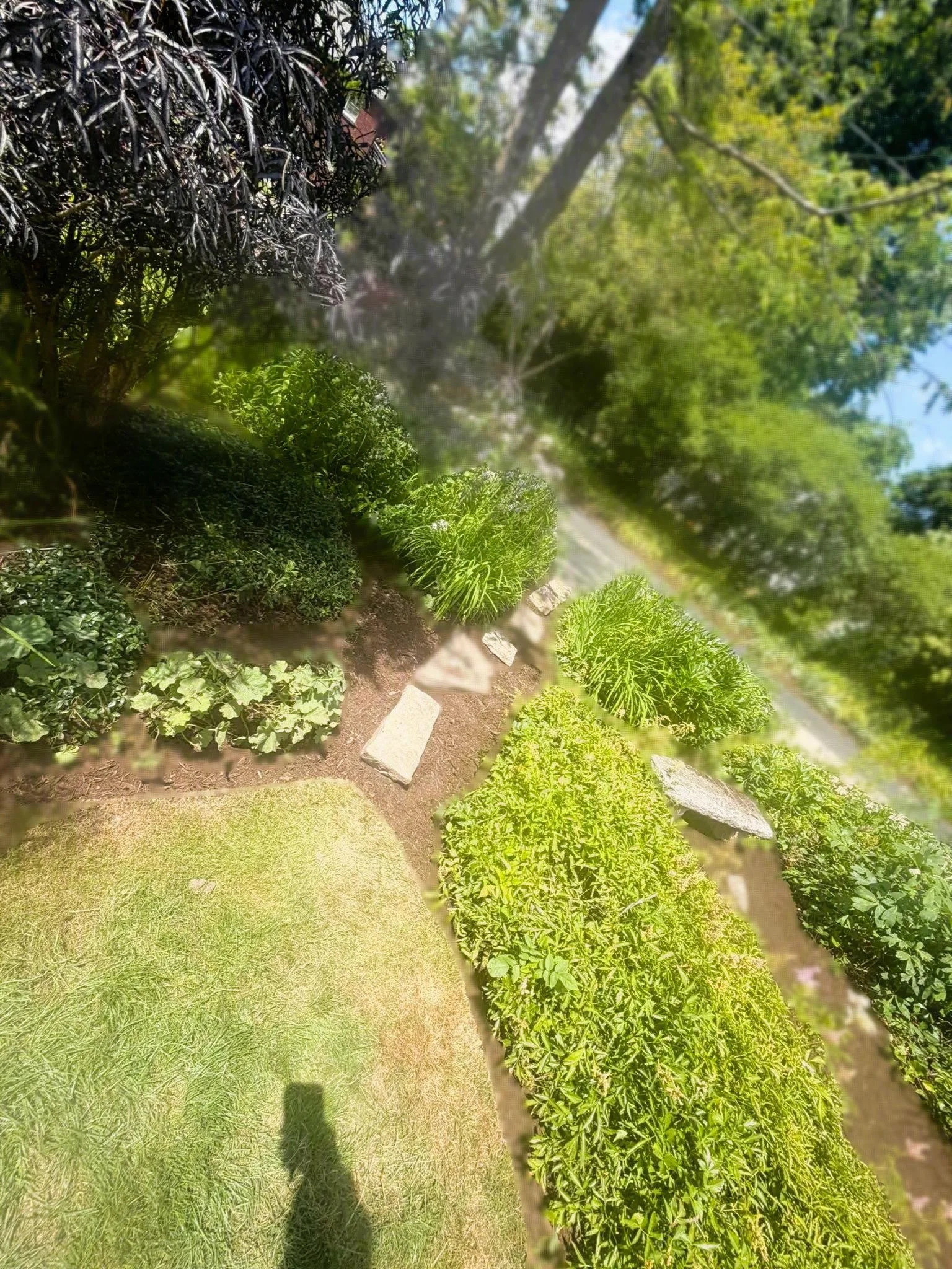 734684765_1012168138398719_3668648329550294063_n.jpg