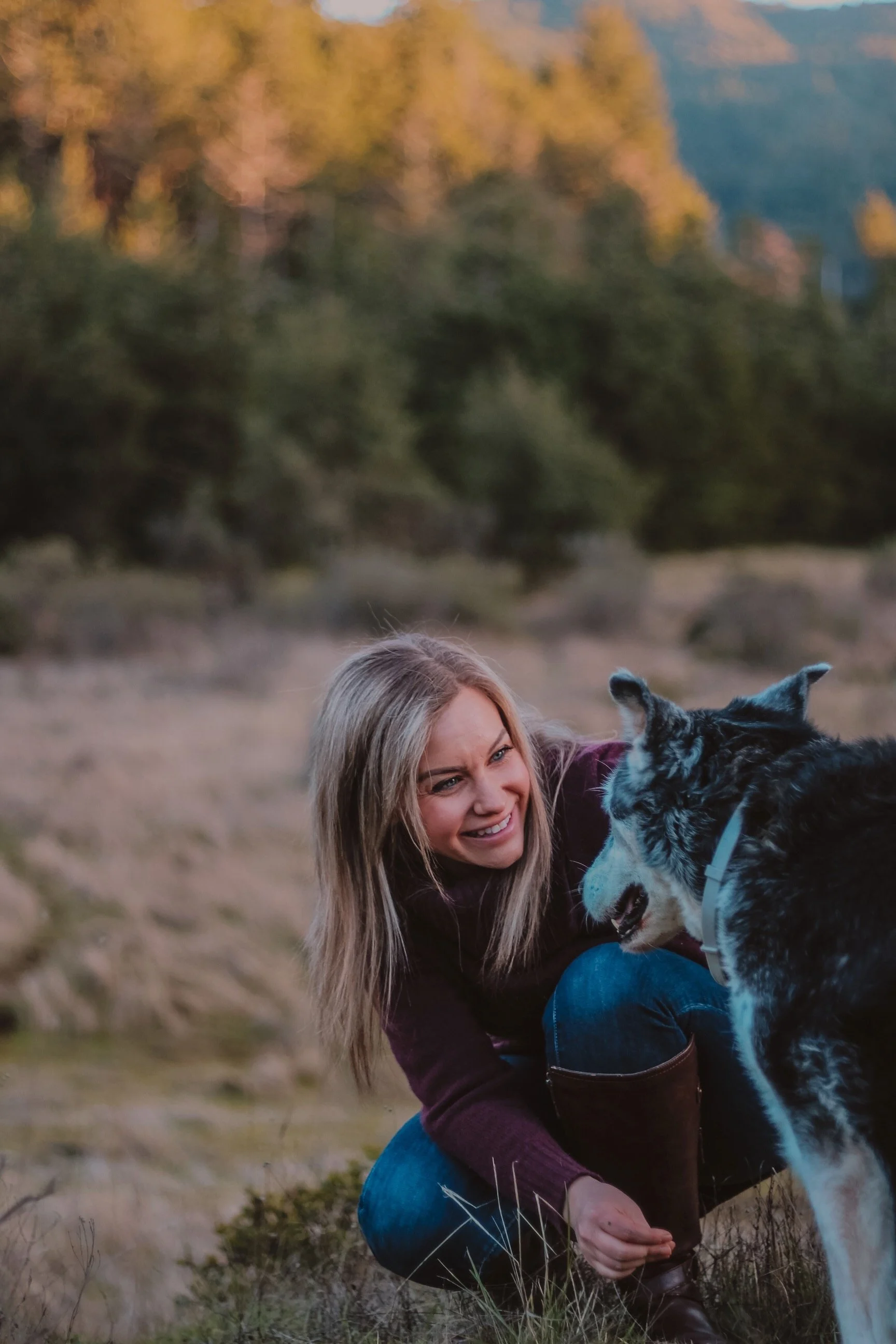 Paw Prints in Meadows