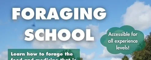 Foraging School