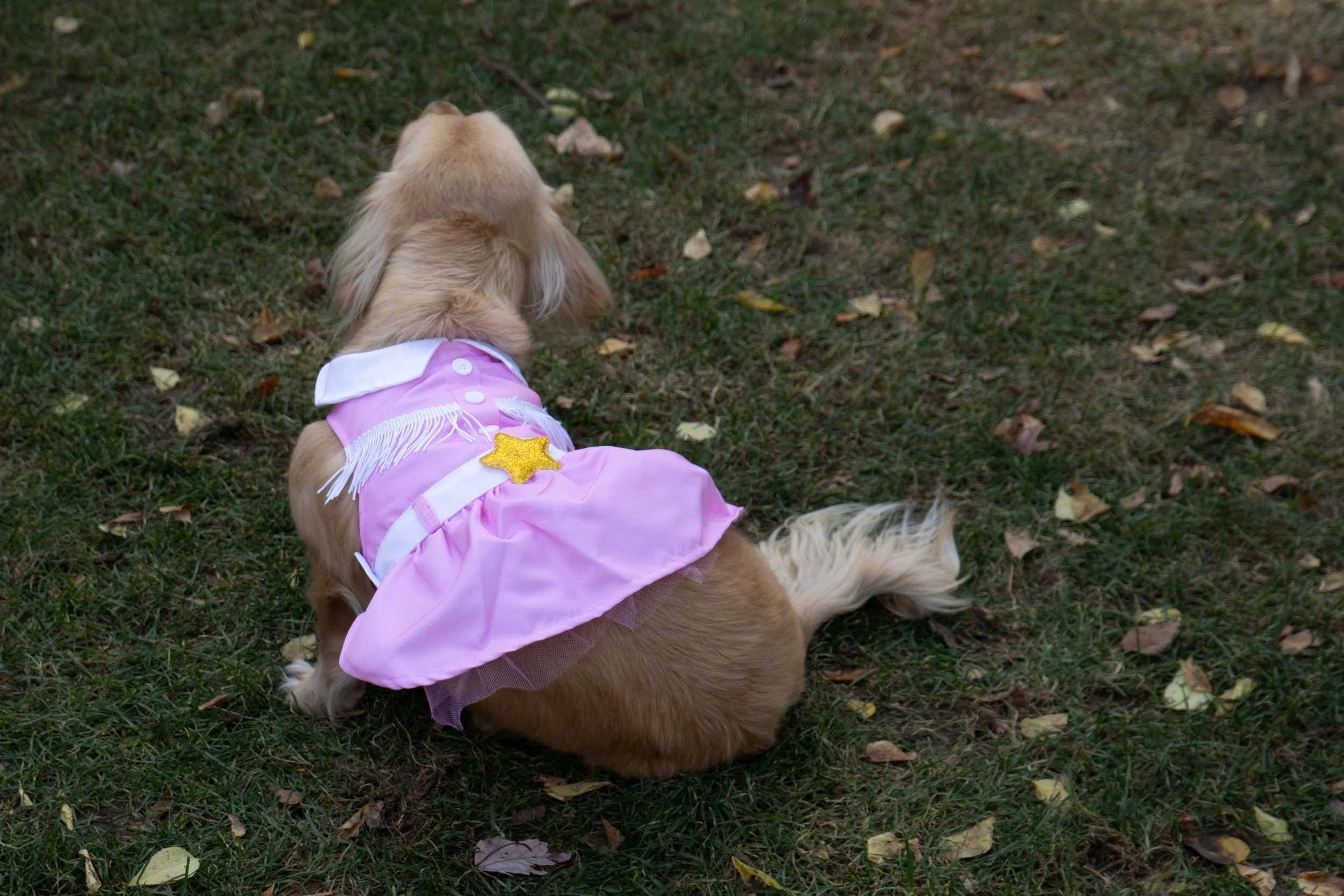 DSC05827.jpg