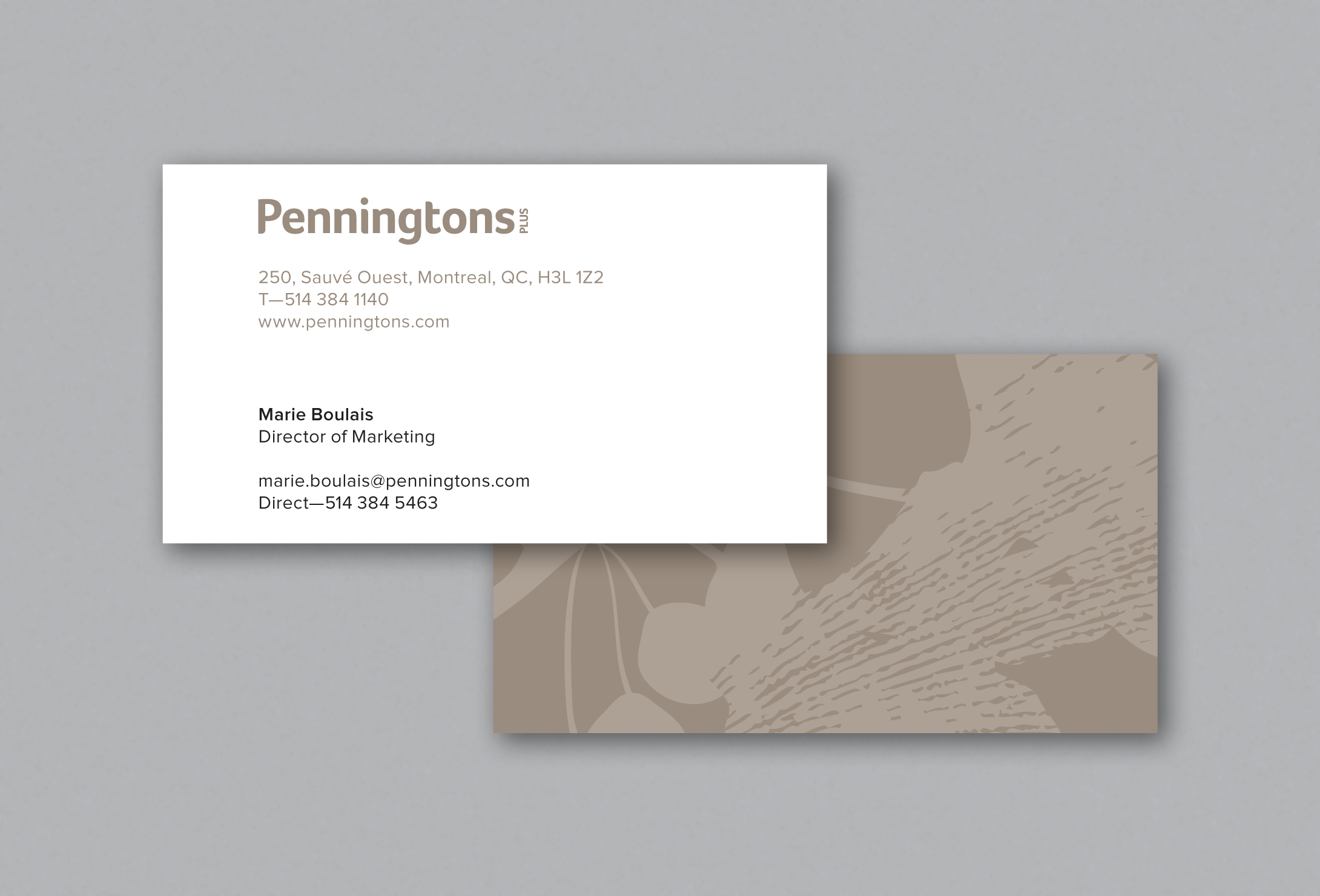PENNINGTONS cards.png