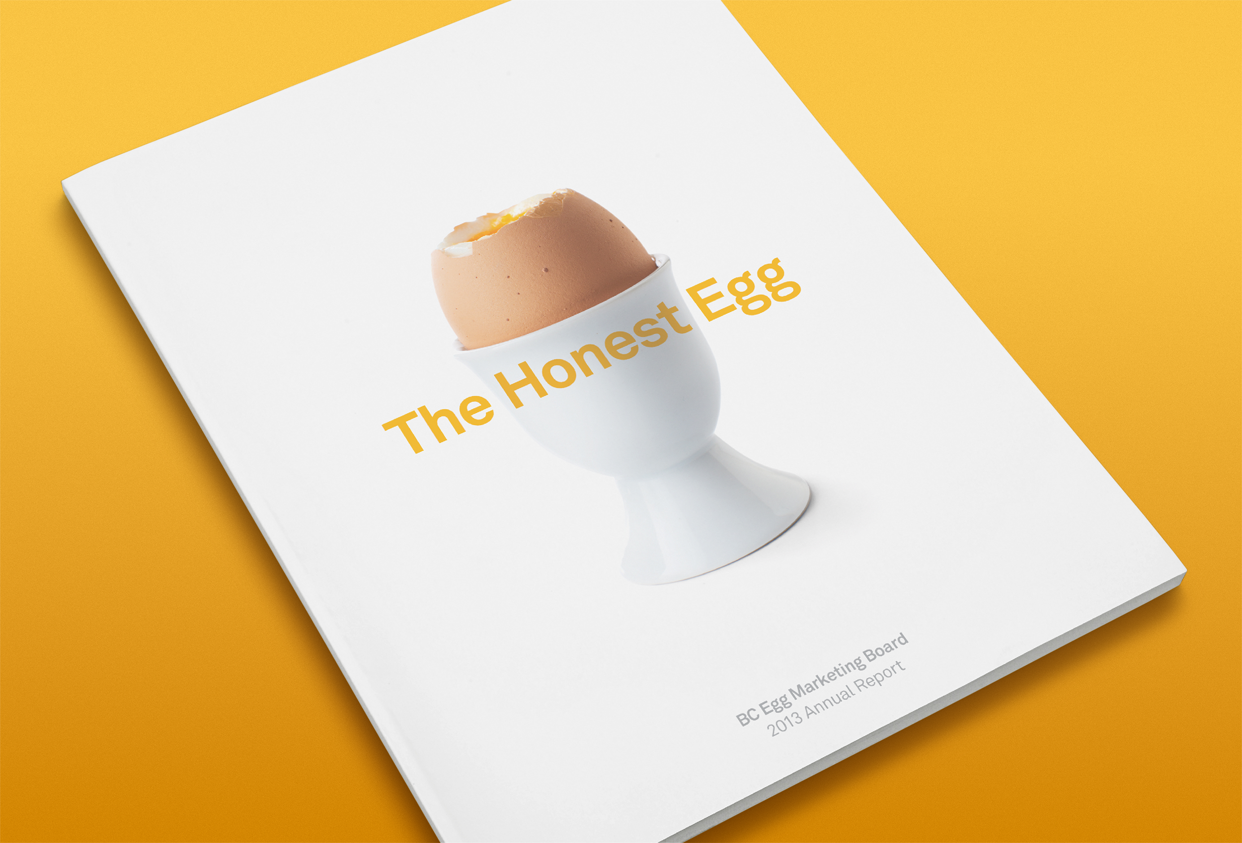 EGG AR cover.png