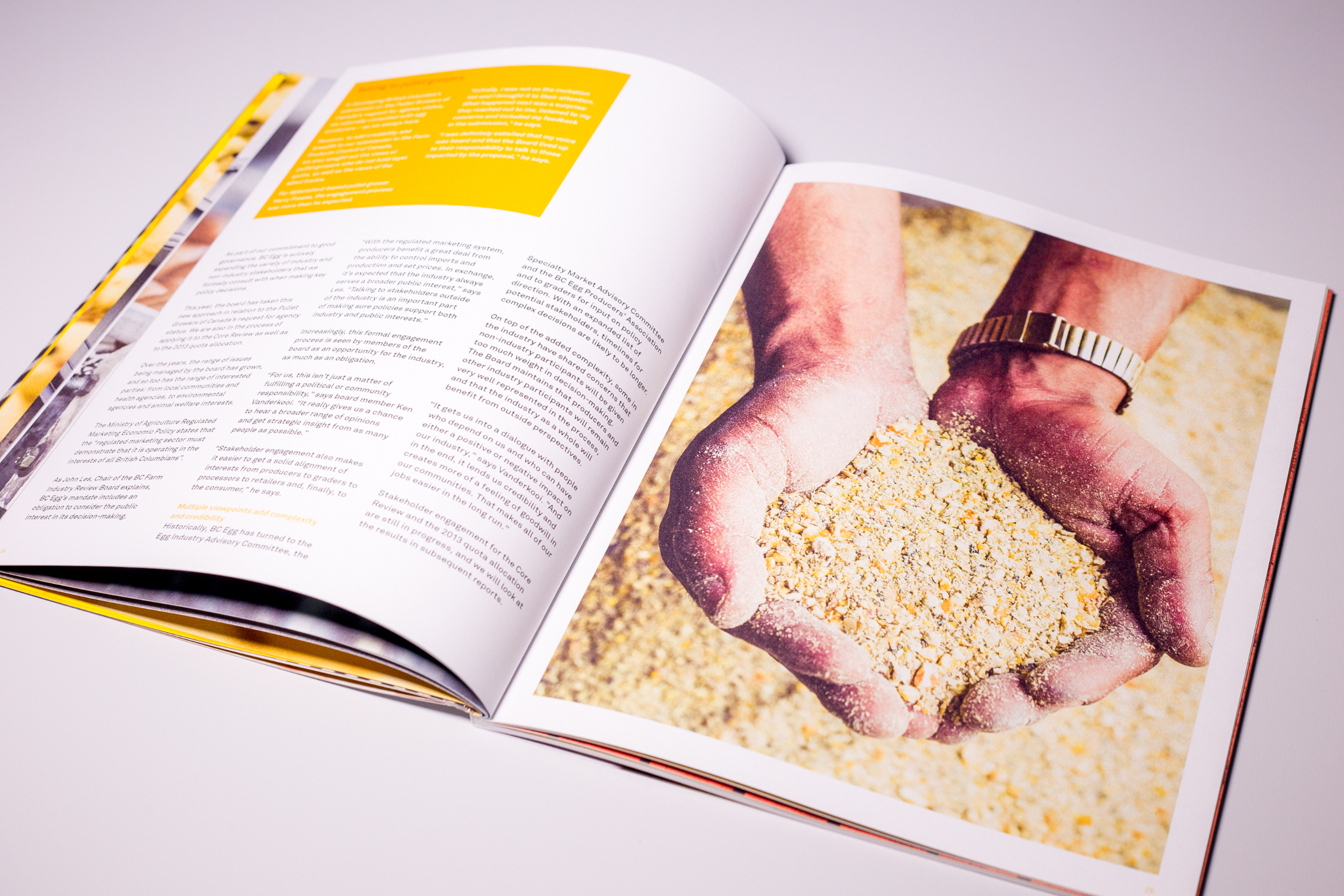 14.png