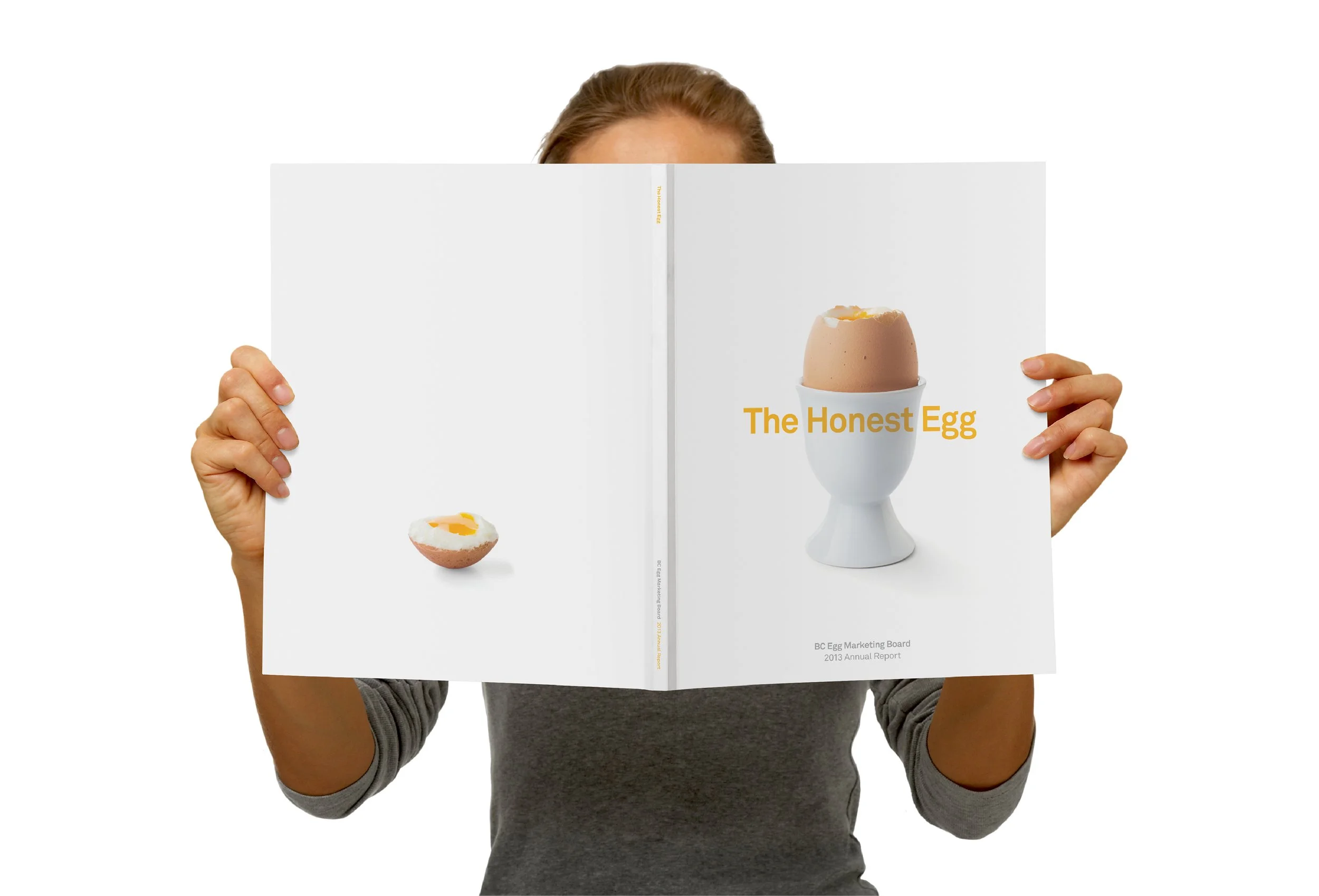 BCEgg_annual_report_cover2.jpg