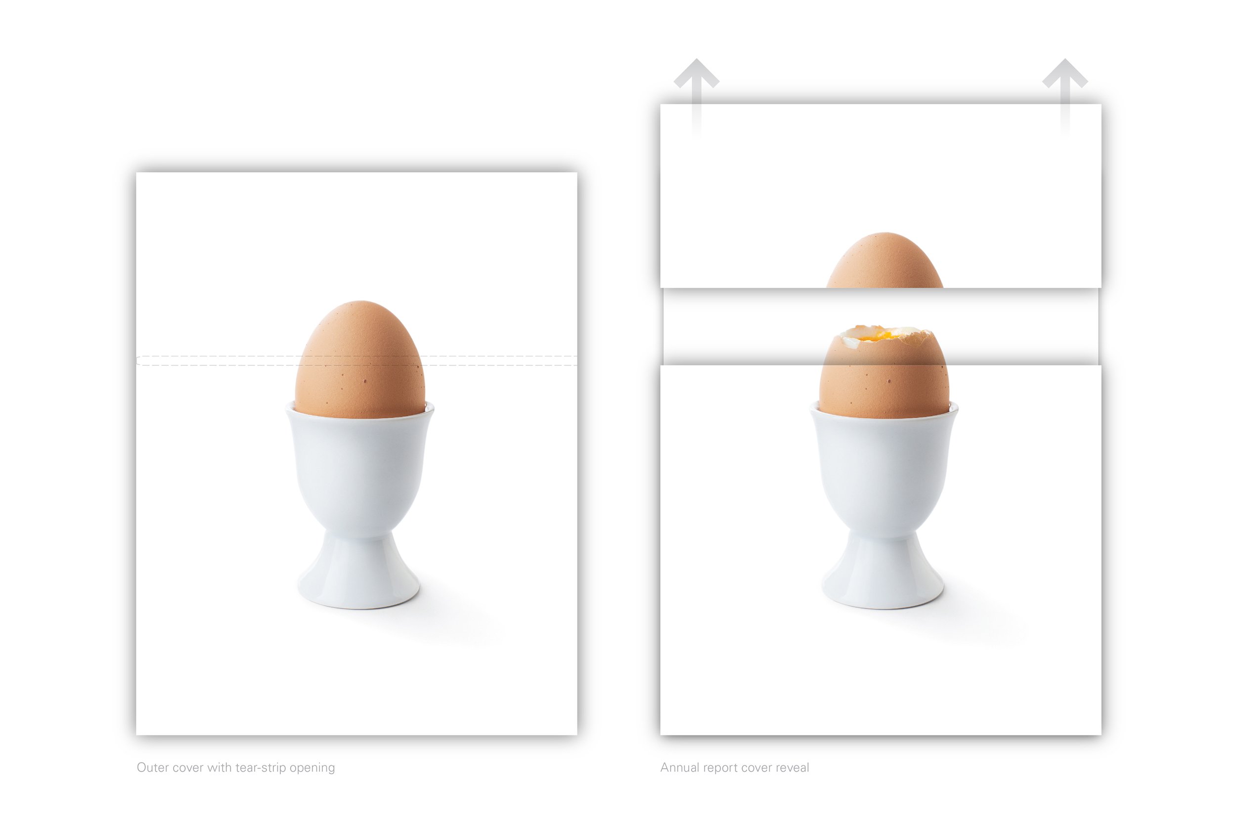 BCEgg_annual_report_outer_slipcase.jpg