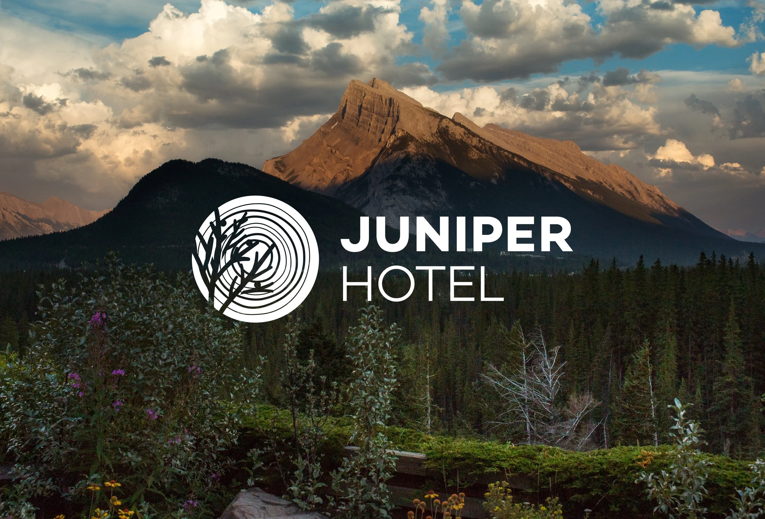 JUNIPER_HOTEL_portfolio-06.jpg
